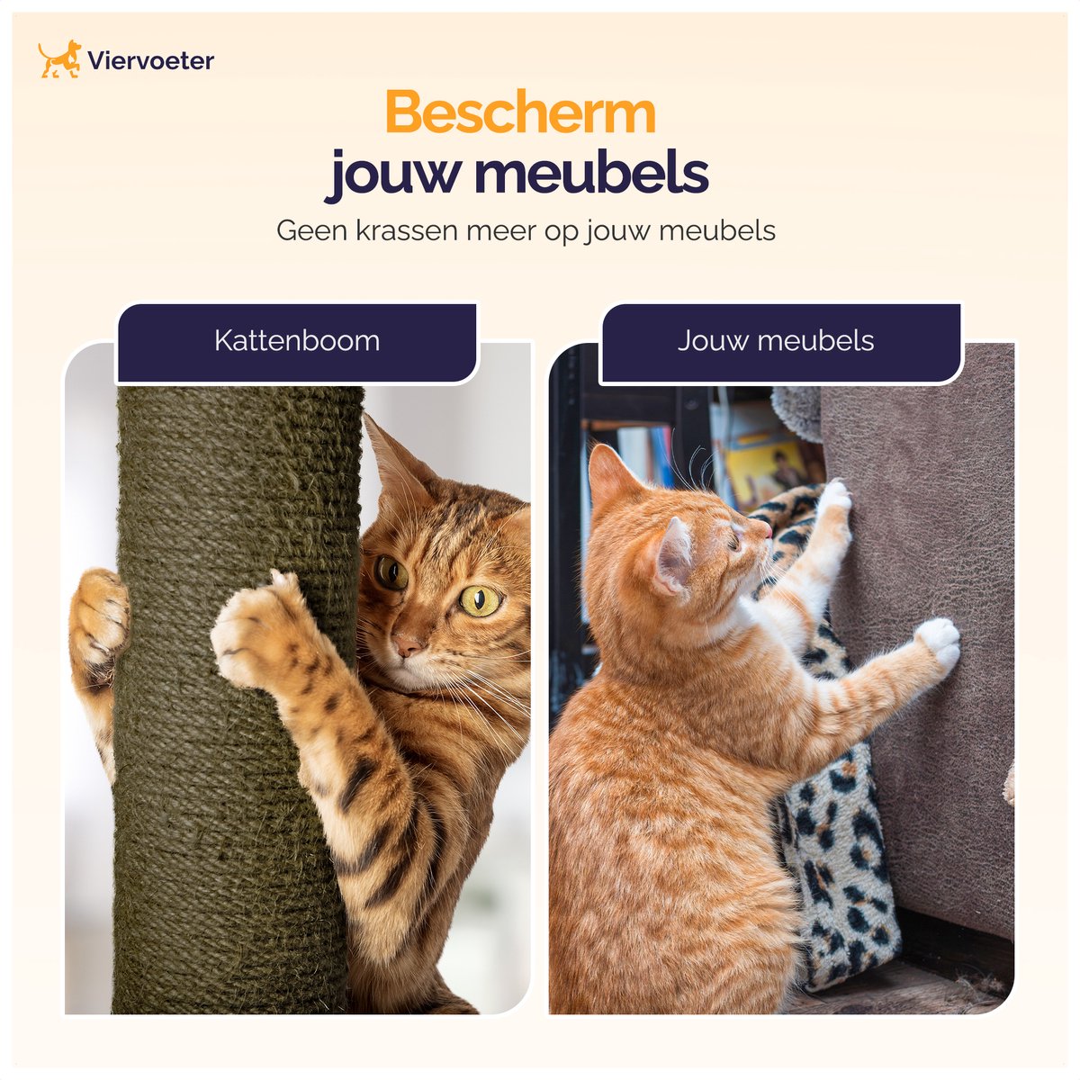 Kattenboom met bladeren – 165 × 60 × 60 cm
