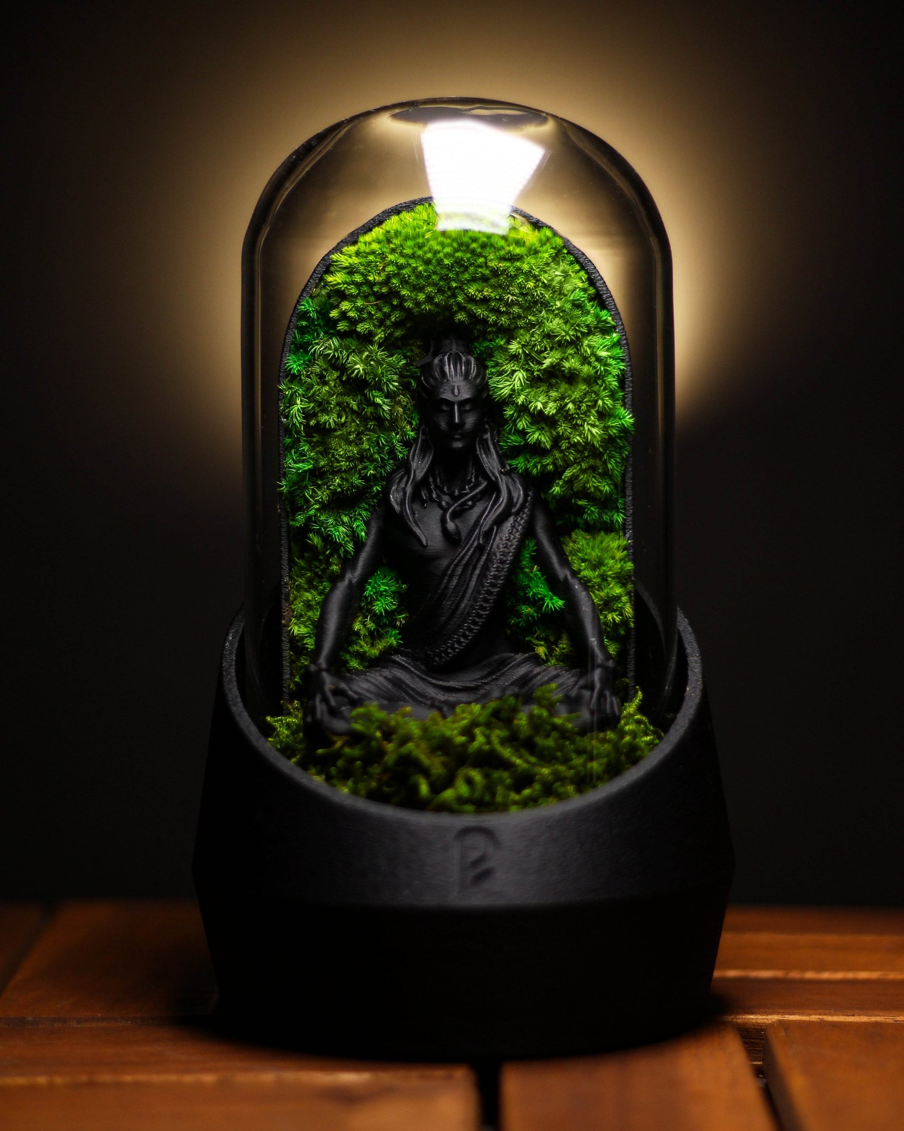 Shiva’s Dome terrarium