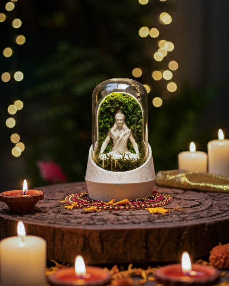 Shiva’s Dome terrarium