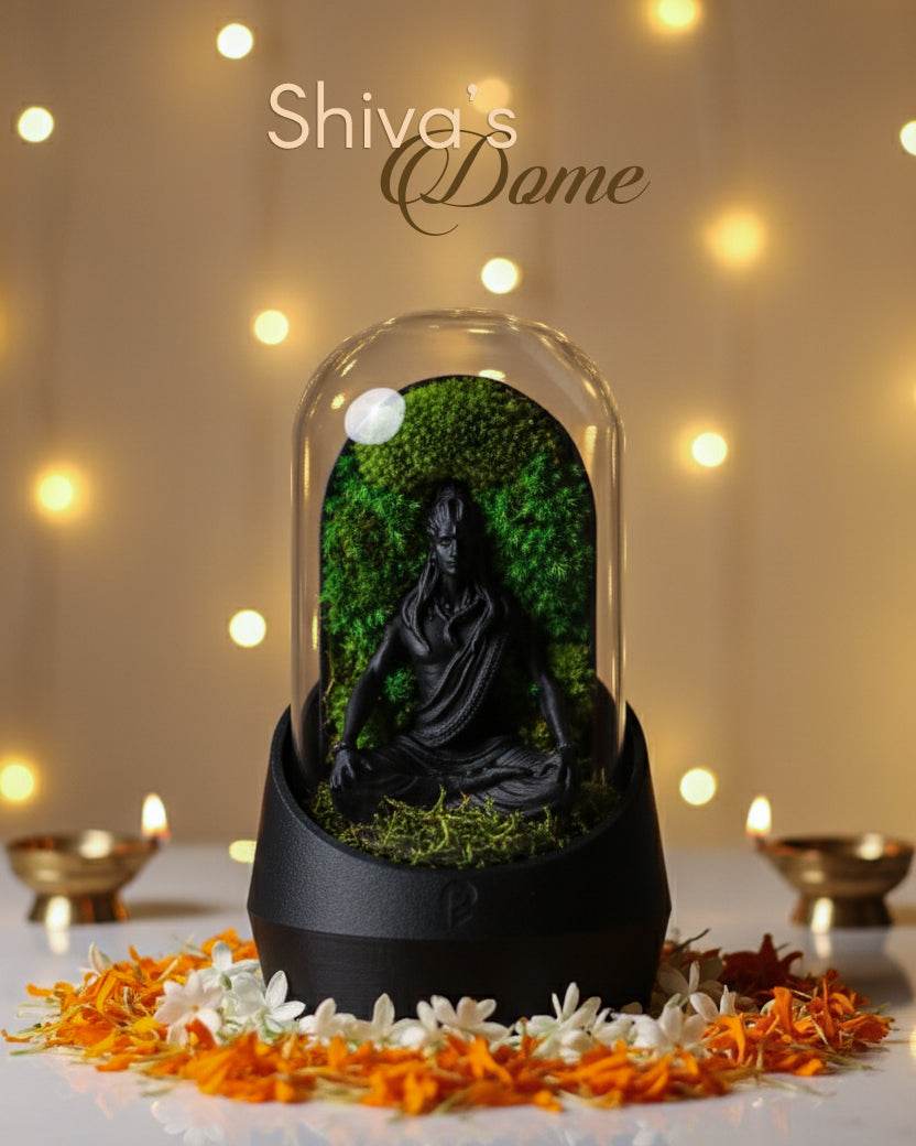 Shiva’s Dome terrarium