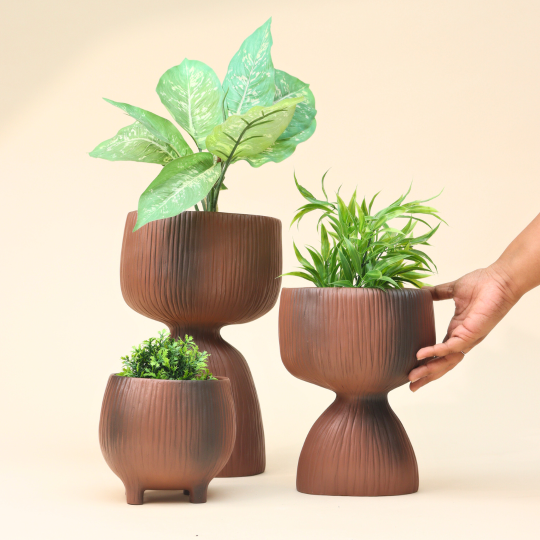 Aden biologische plantenbak