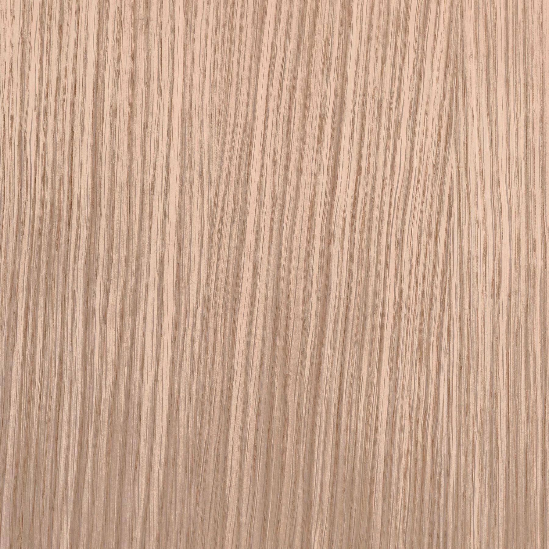 Petite nashirā chêne brut