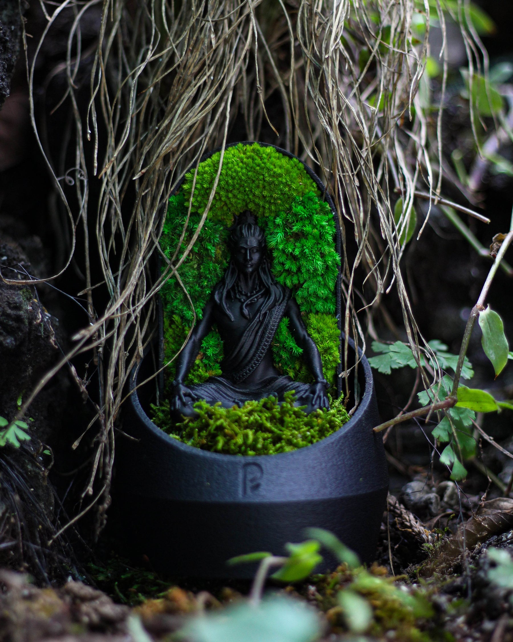 Shiva’s Dome terrarium