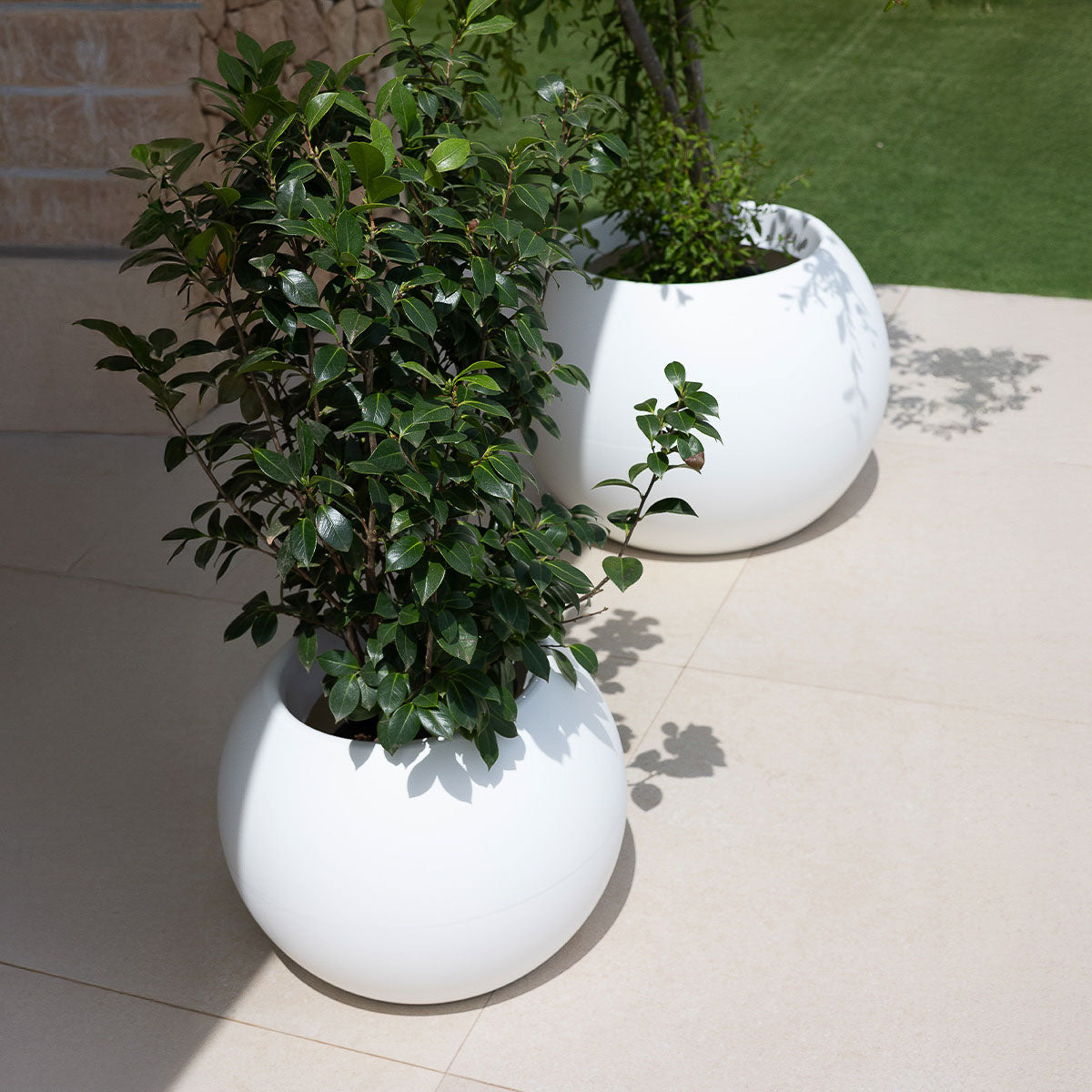 Ronde plantenpot Dalia
