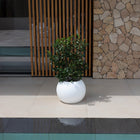 Ronde plantenpot Dalia