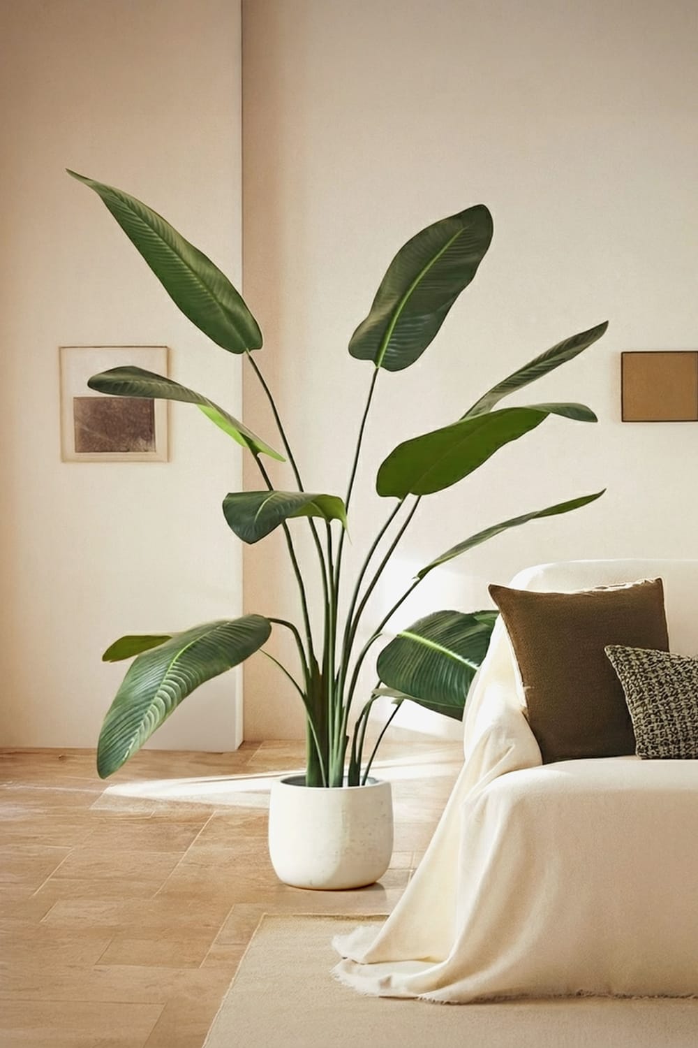 Kunst-Strelitzia
