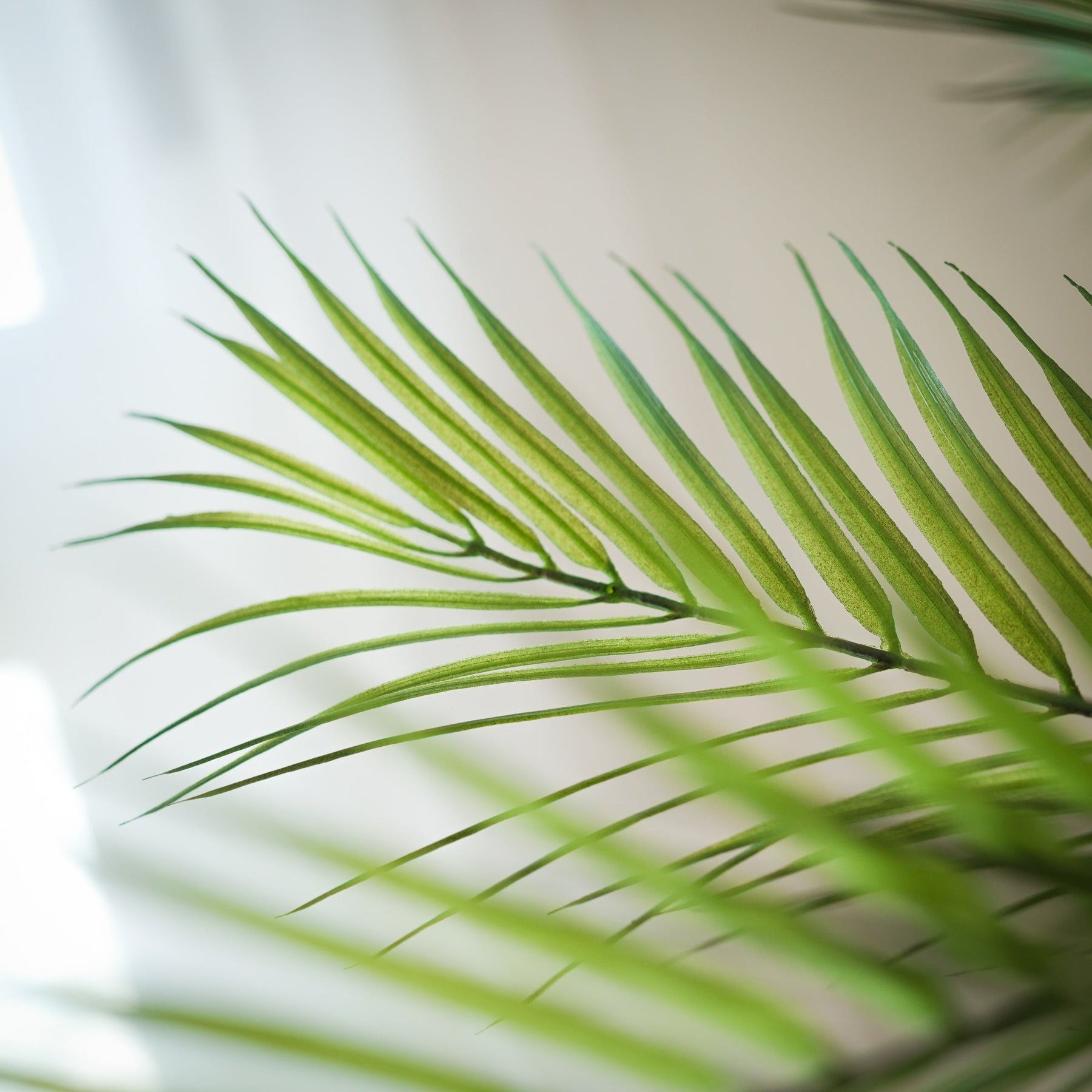 Tropische Areca palm kunstplant 180 cm