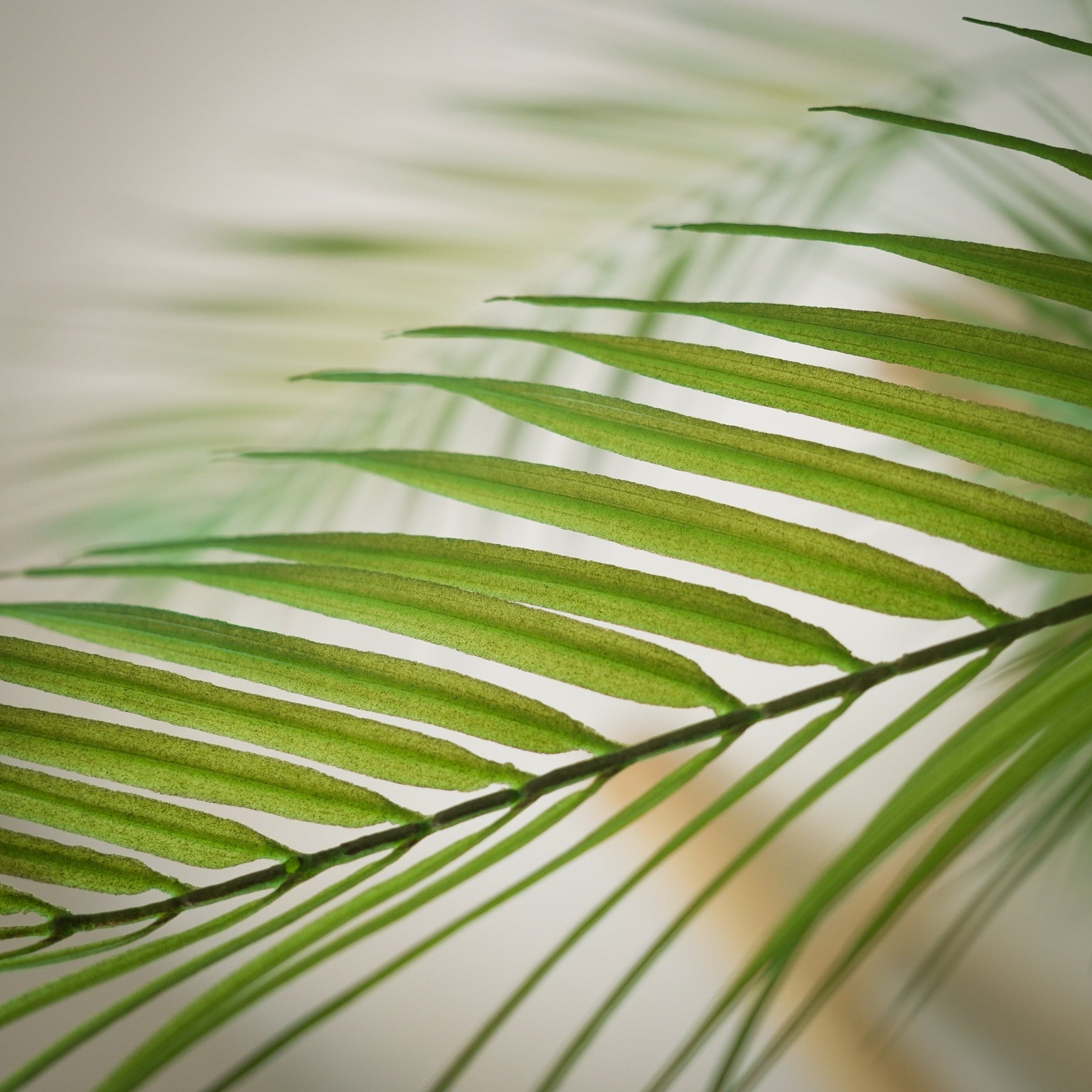 Tropische Areca palm kunstplant 180 cm