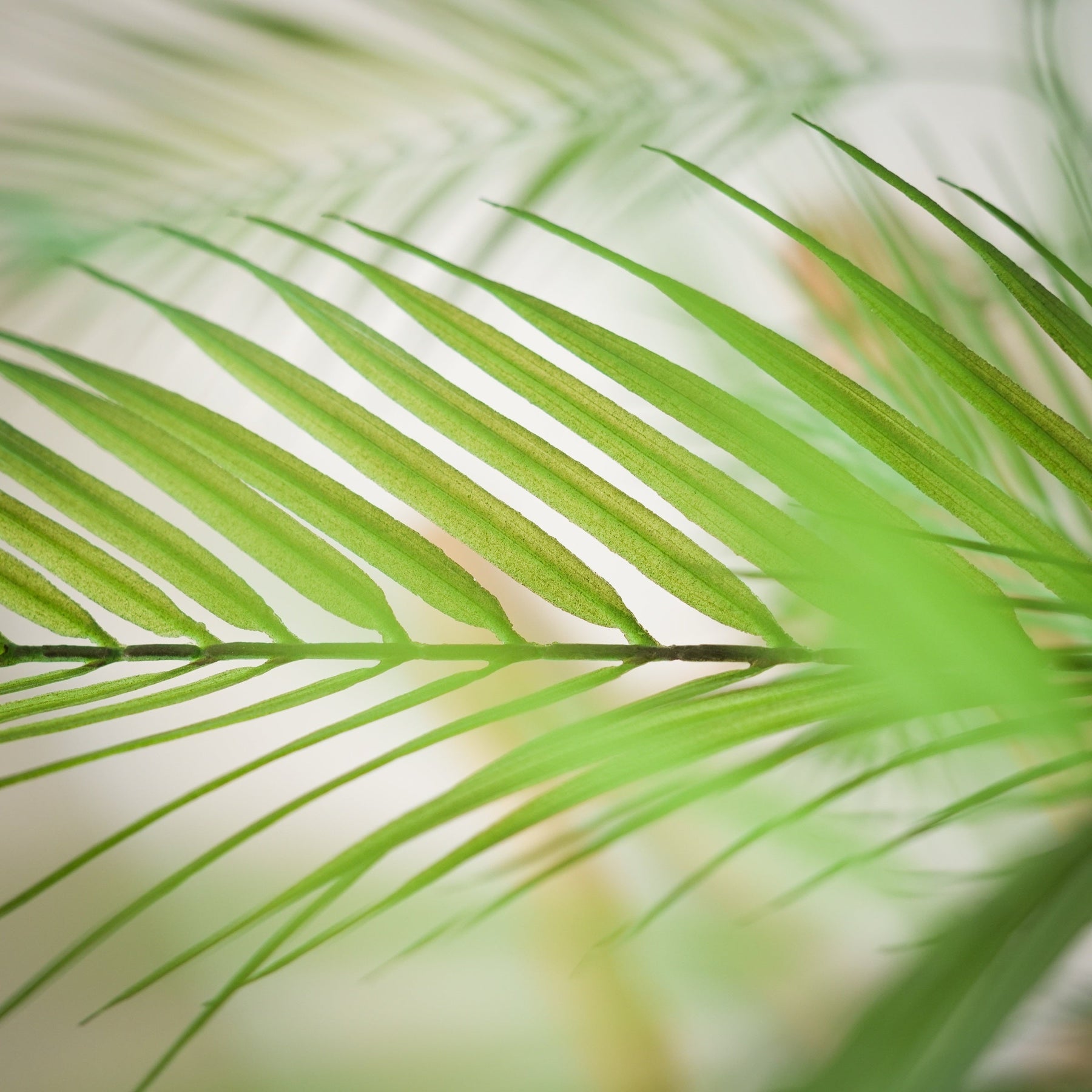 Tropische Areca palm kunstplant 180 cm
