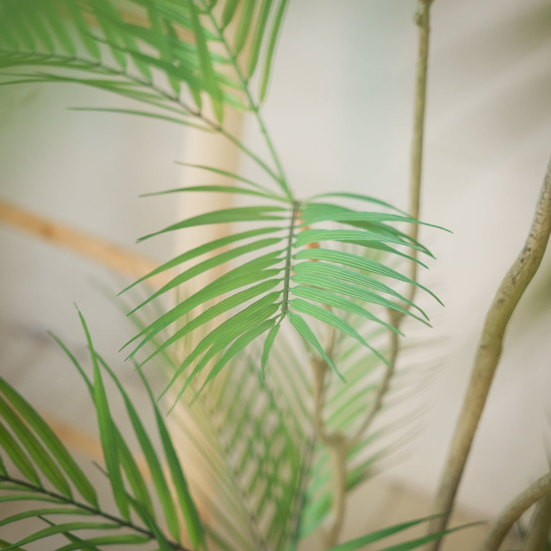 Tropische Areca palm kunstplant 180 cm
