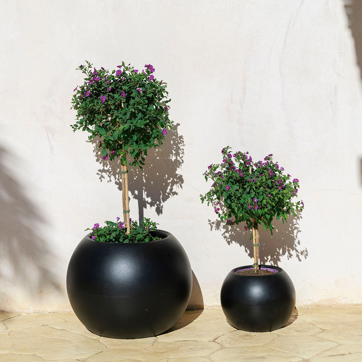 Ronde plantenpot Dalia