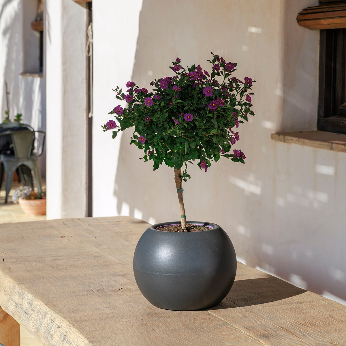 Ronde plantenpot Dalia