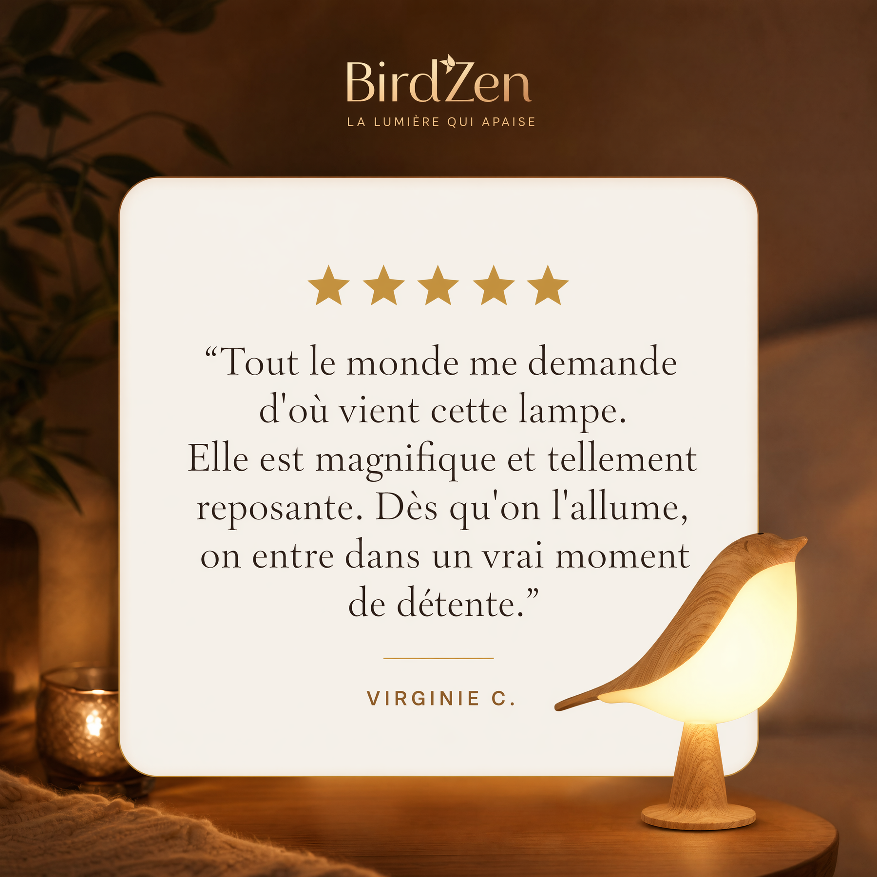 BirdZen — L'oiseau qui veille sur vos soirées