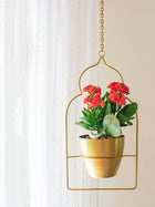 Saira Planter