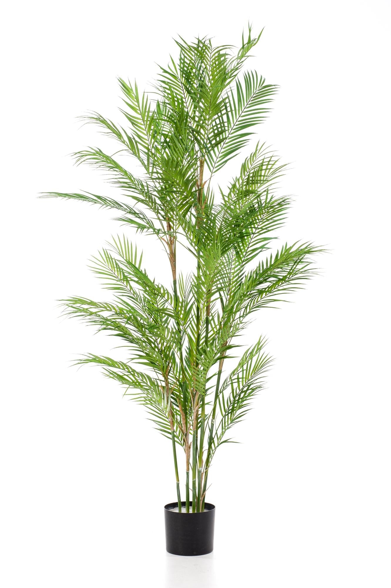 Kunstplant Chamaedorea 180 cm