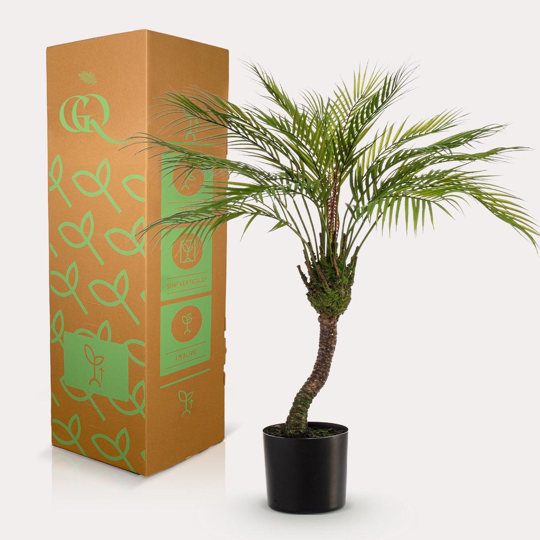 Kunstpalm Chamaedorea 85 cm