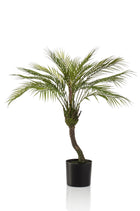 Kunstpalm Chamaedorea 85 cm