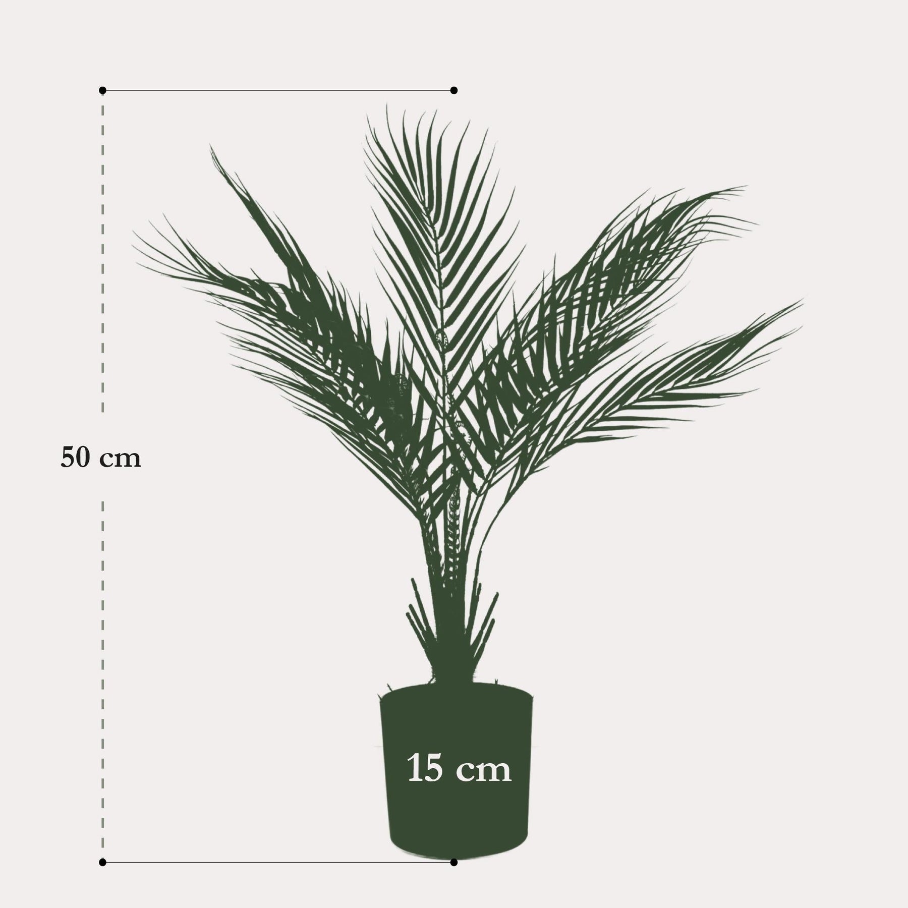 Kunstpalm Chamaedorea 50 cm