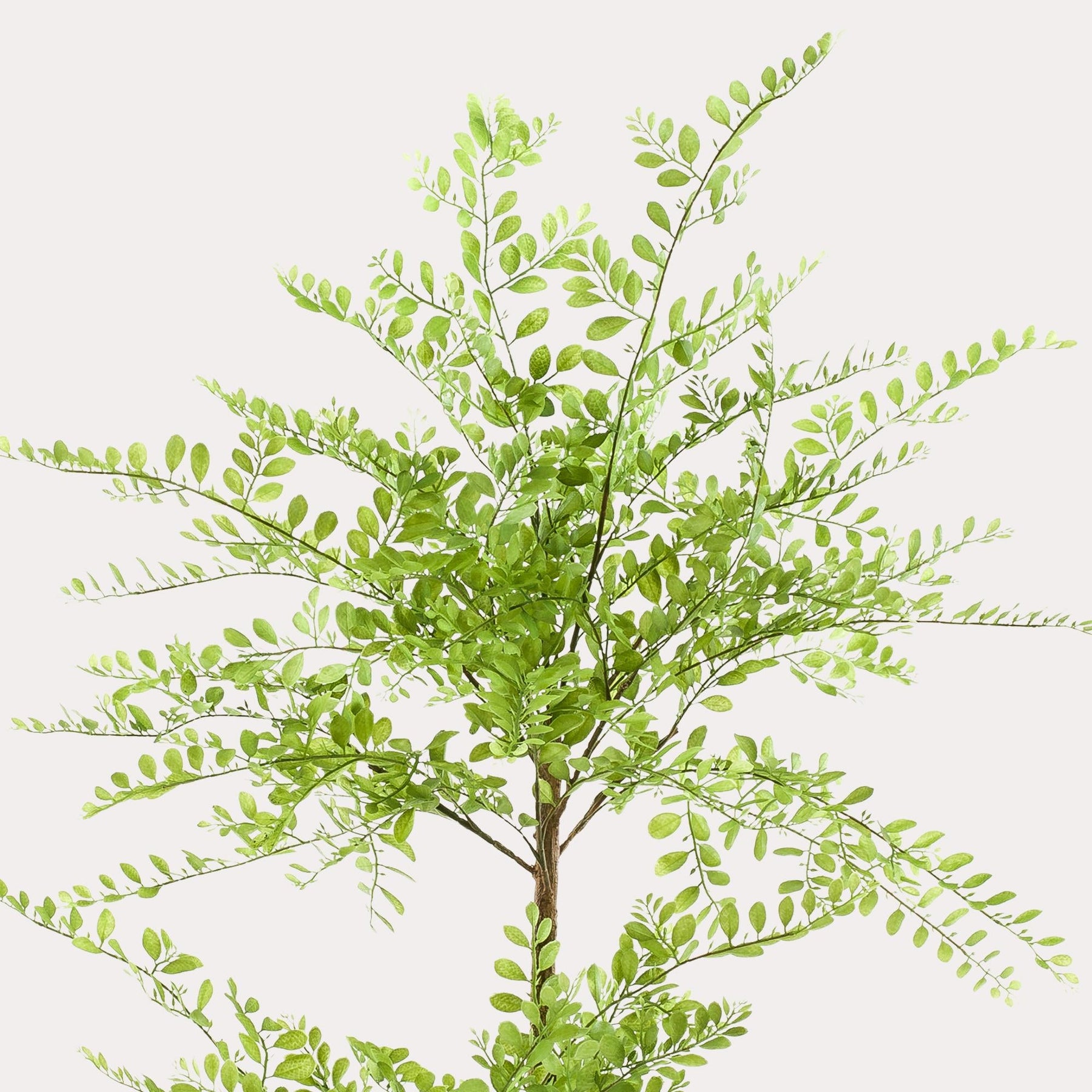 Kunstplant Honingboom 140 cm