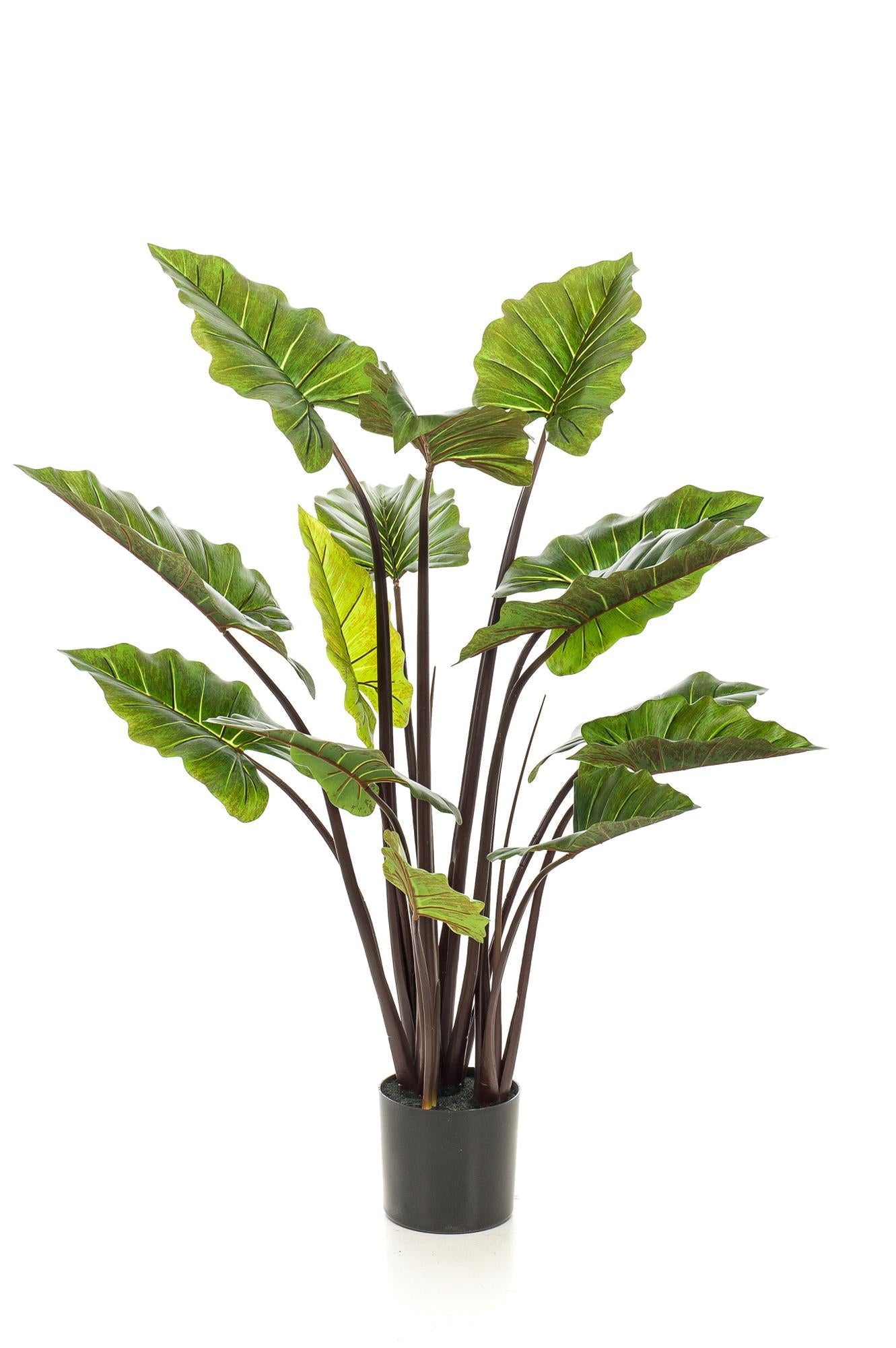 Kunstplant Alocasia 130 cm