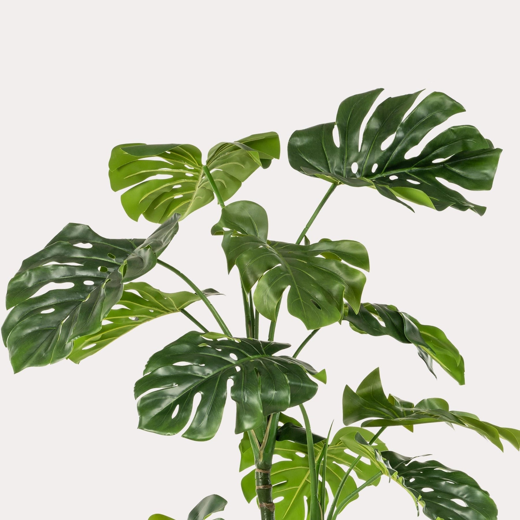 Kunstplant Monstera 180 cm