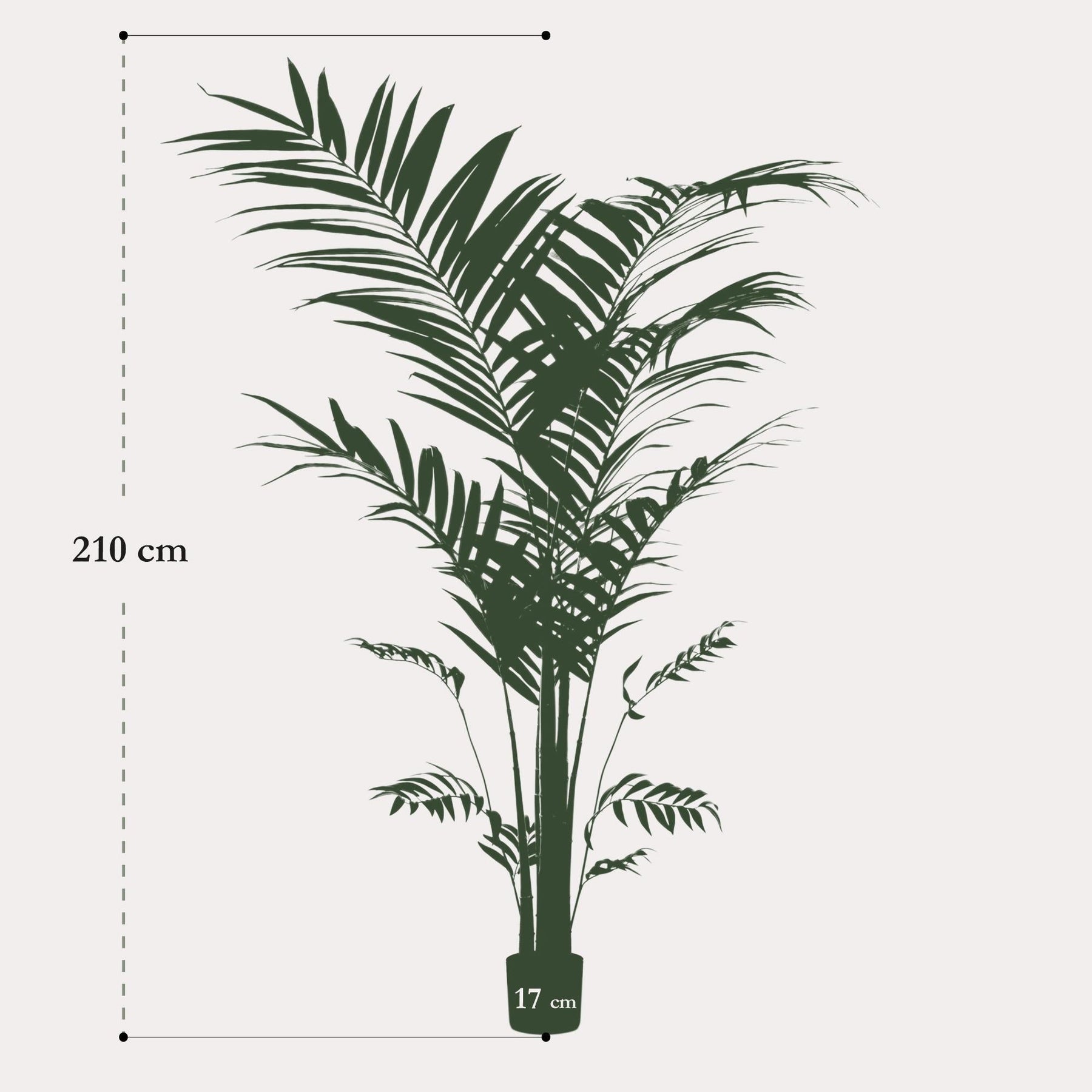 Kunstplant Kentia 210 cm