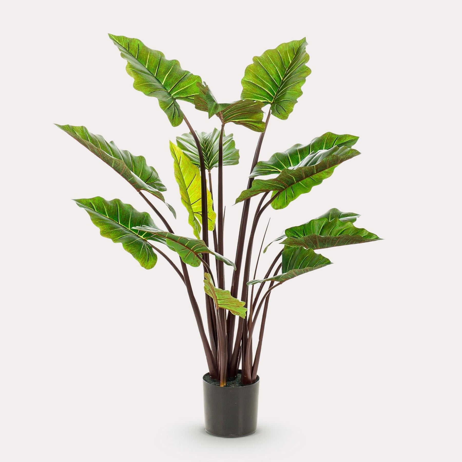 Kunstplant Alocasia 130 cm