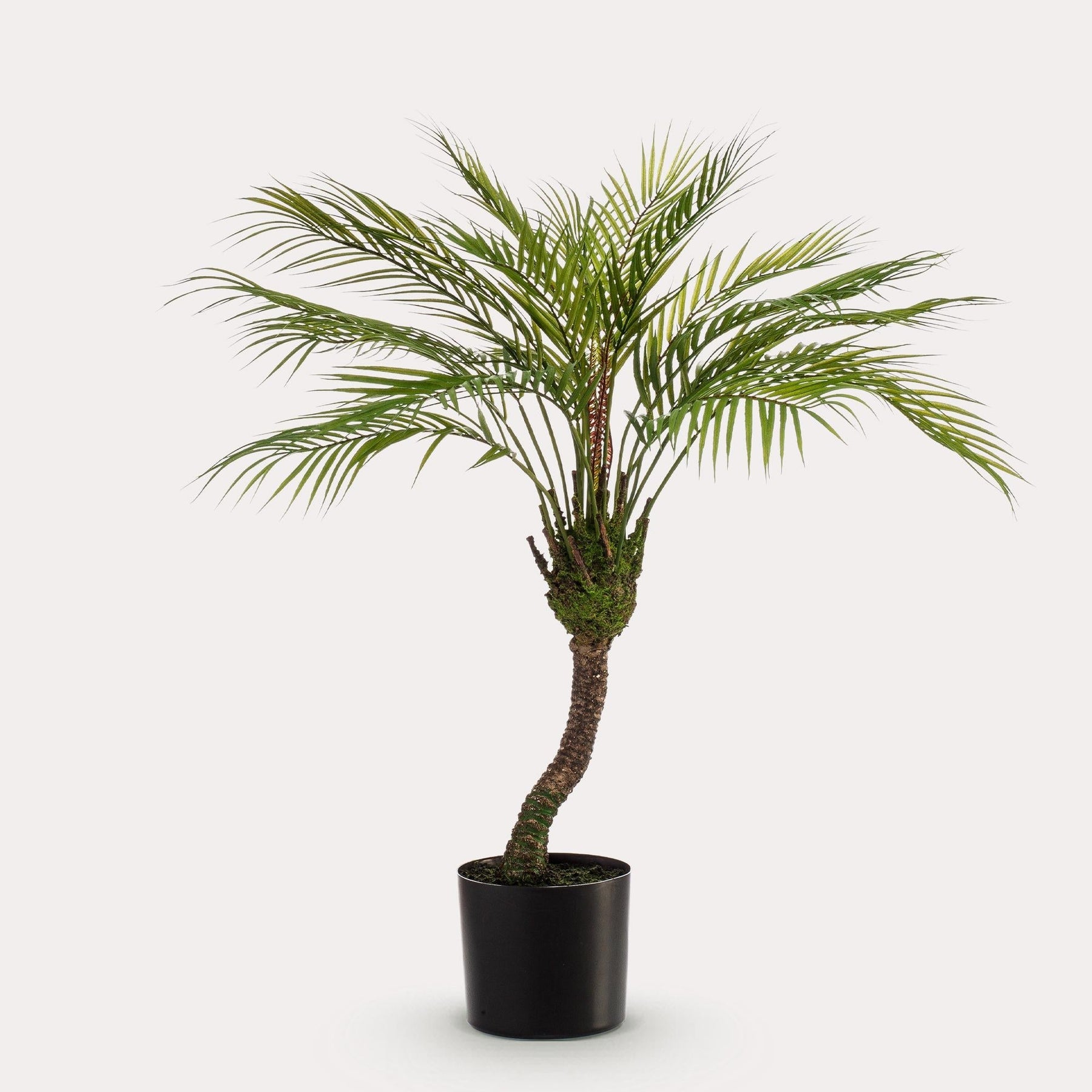 Kunstpalm Chamaedorea 85 cm