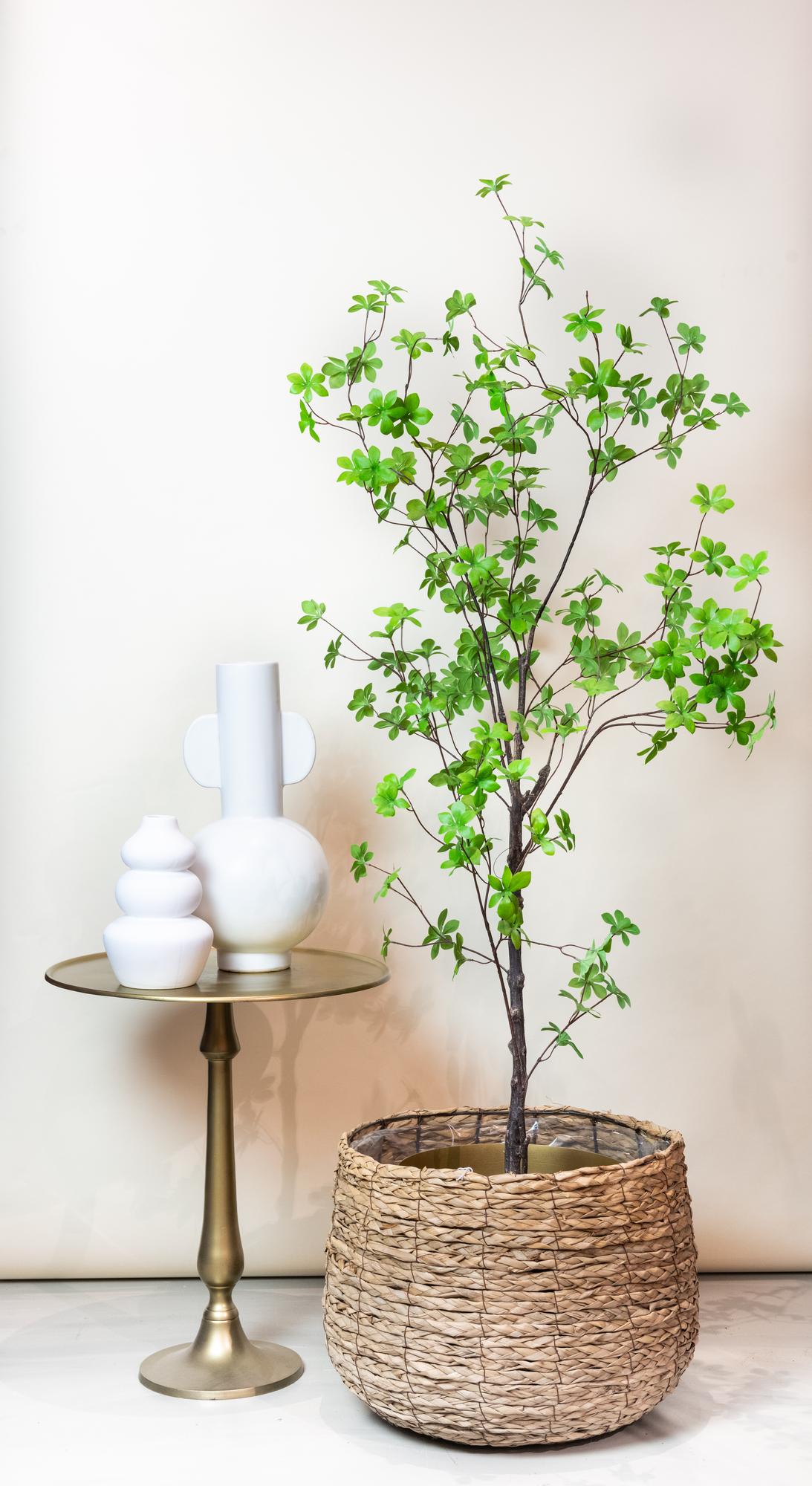 Kunstplant Oostindische Kers 210 cm