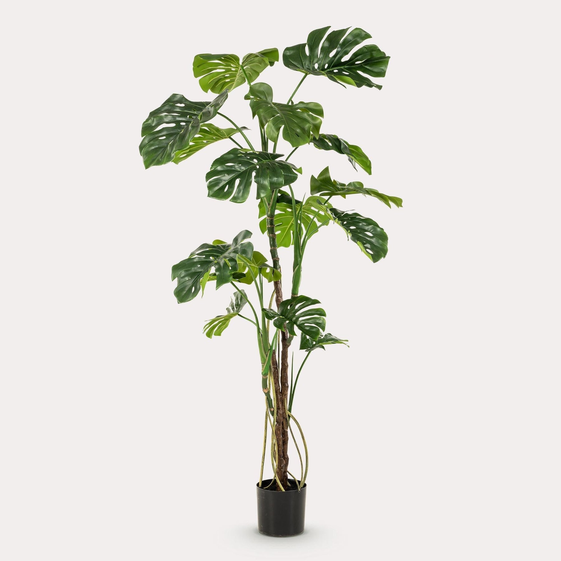 Kunstplant Monstera 180 cm