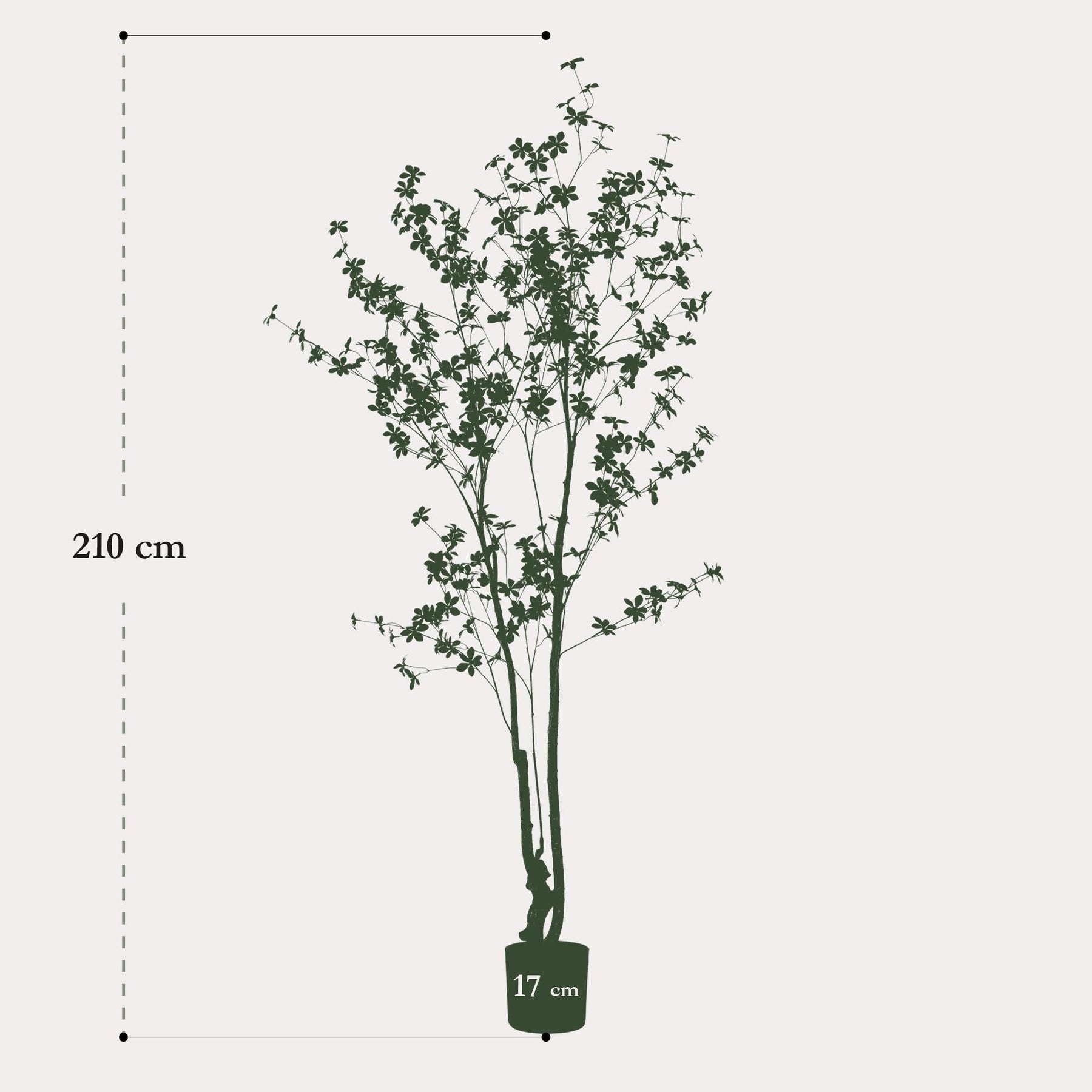 Kunstplant Oostindische Kers 210 cm