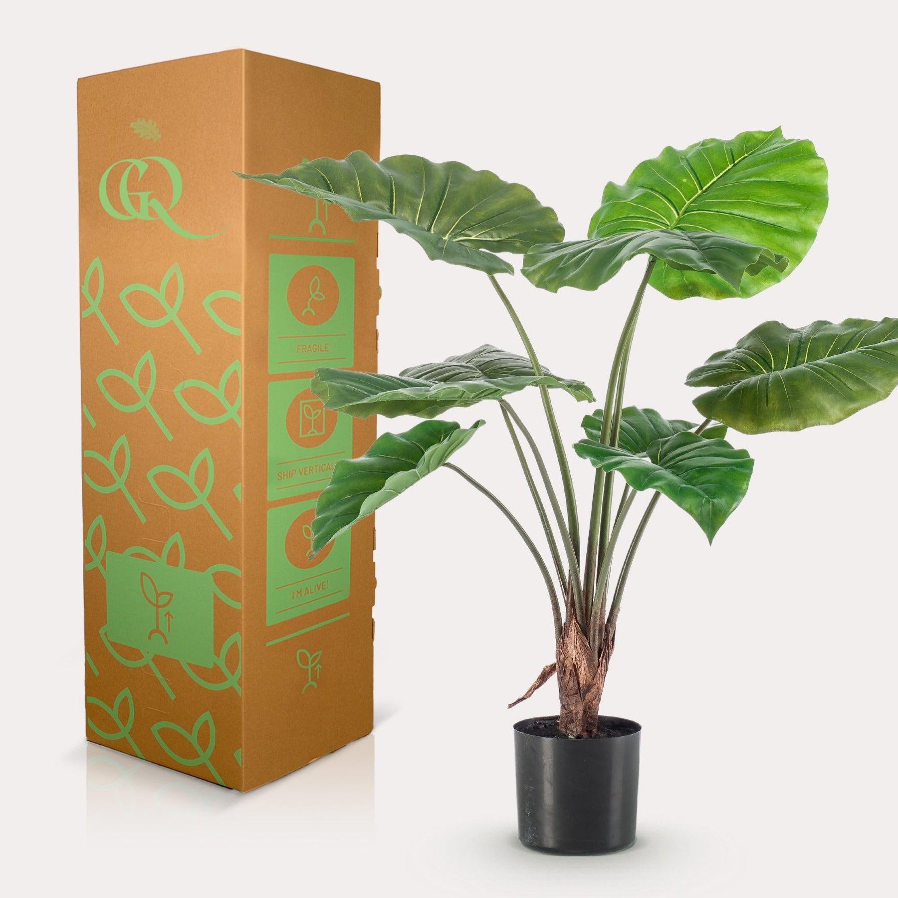 Kunstplant Alocasia 70 cm