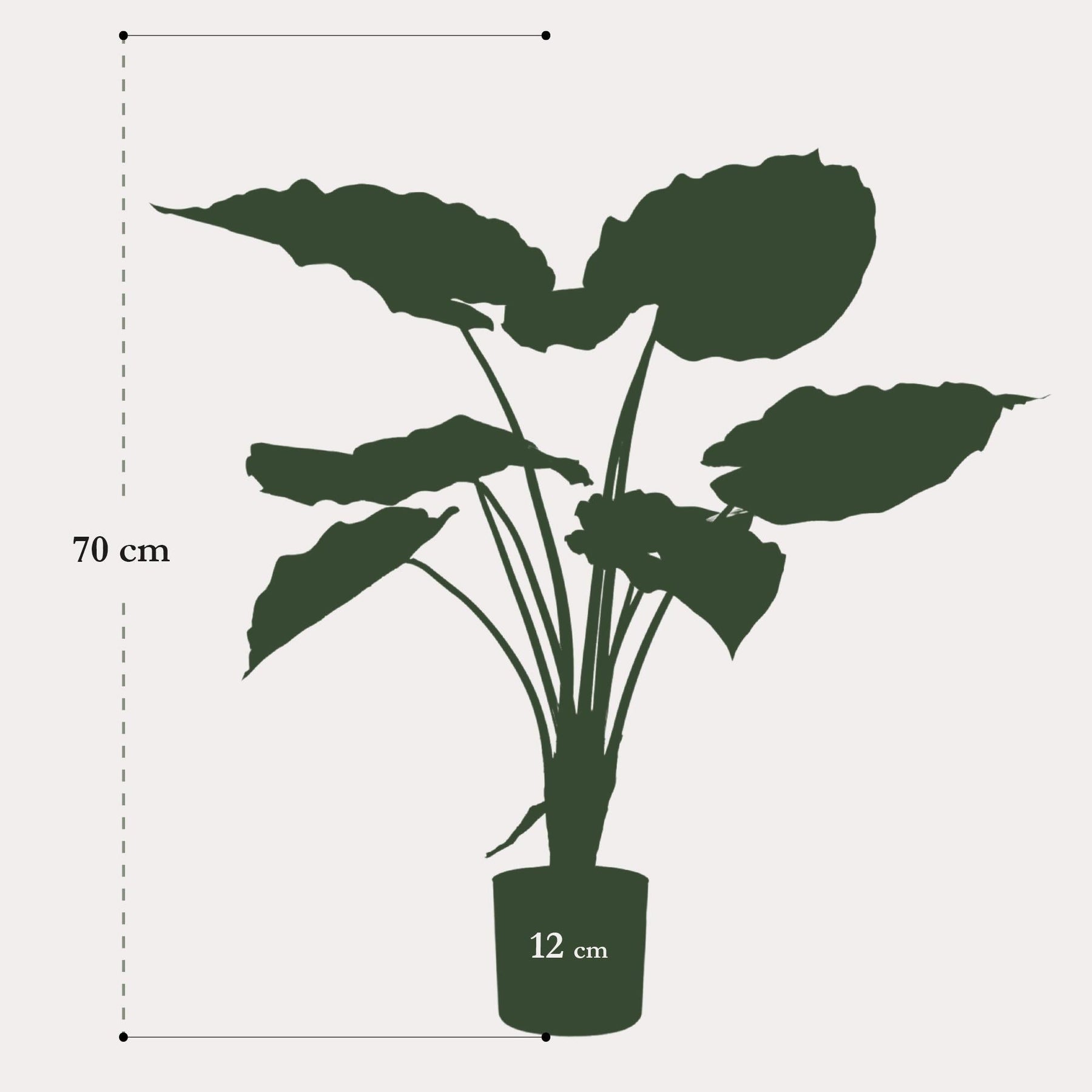 Kunstplant Alocasia 70 cm