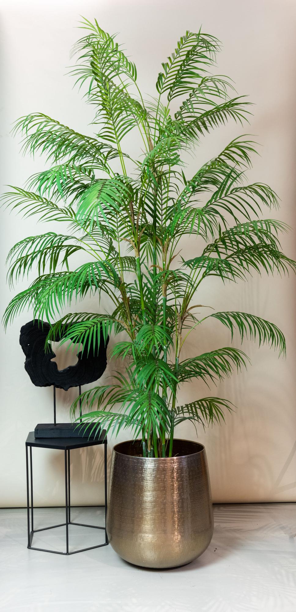 Kunstplant Chamaedorea 180 cm