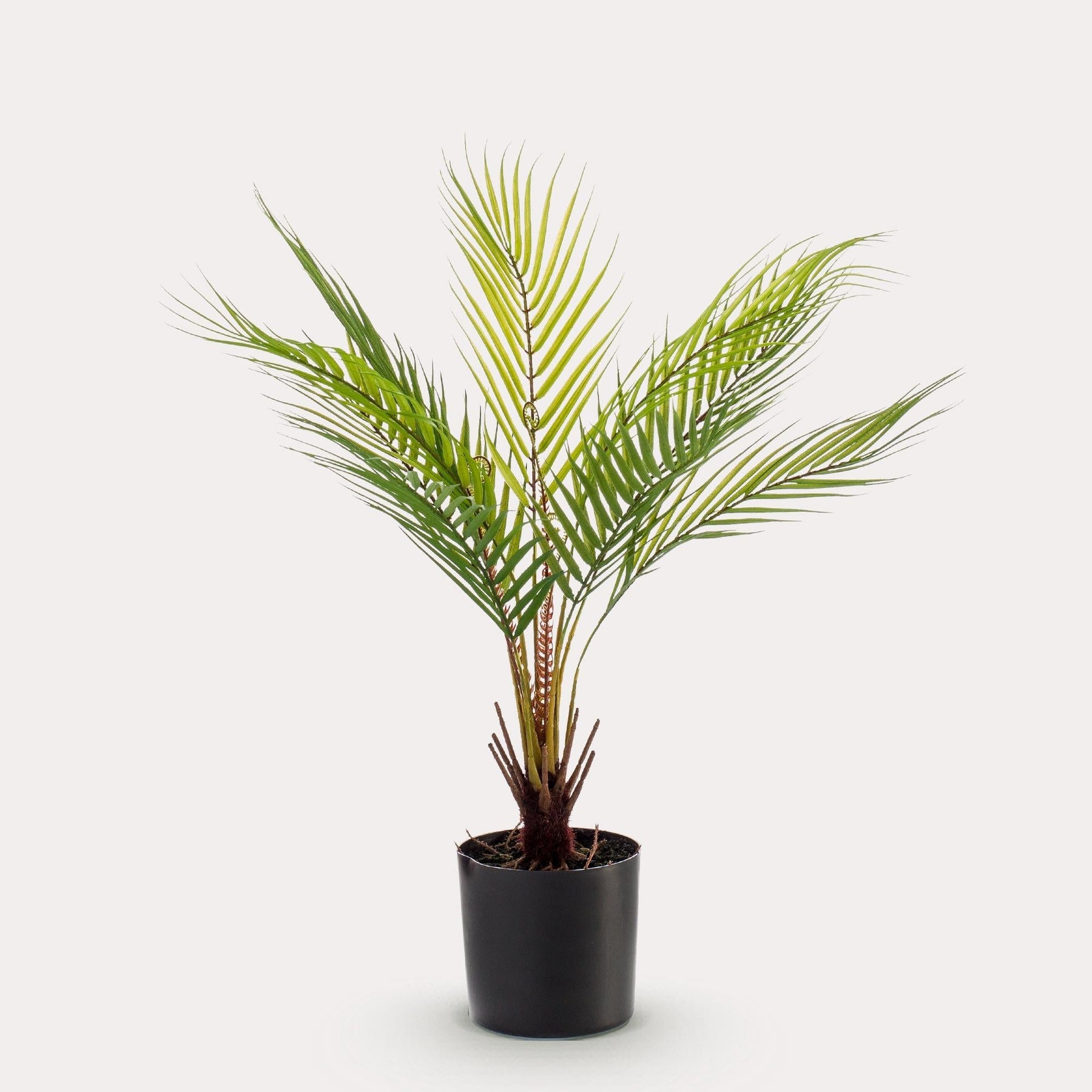 Kunstpalm Chamaedorea 50 cm
