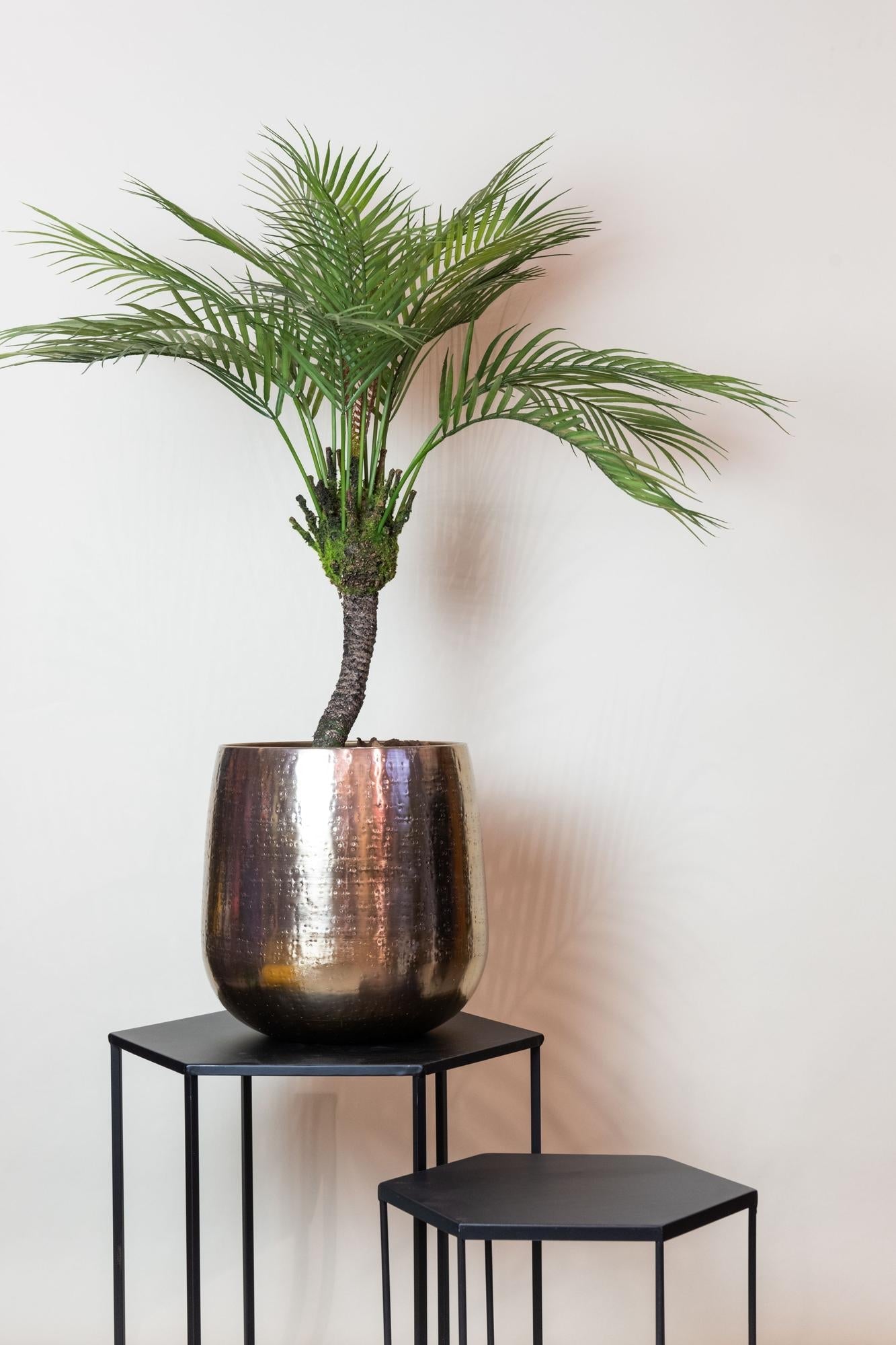 Kunstpalm Chamaedorea 85 cm