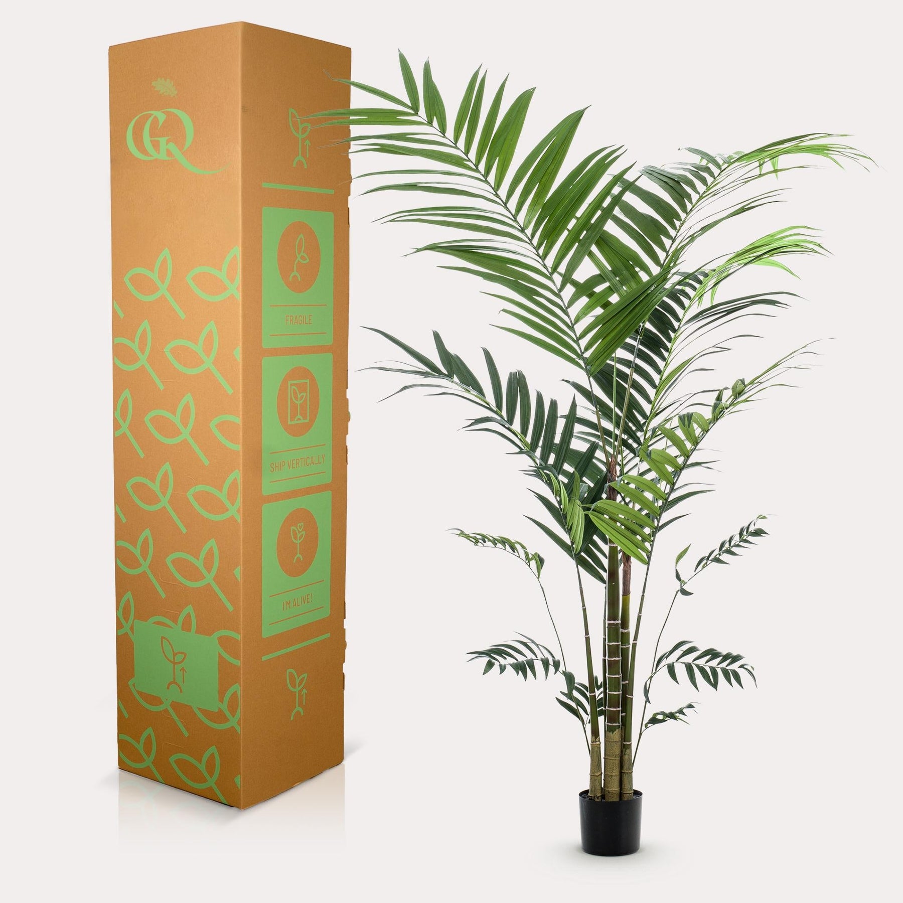 Kunstplant Kentia 210 cm