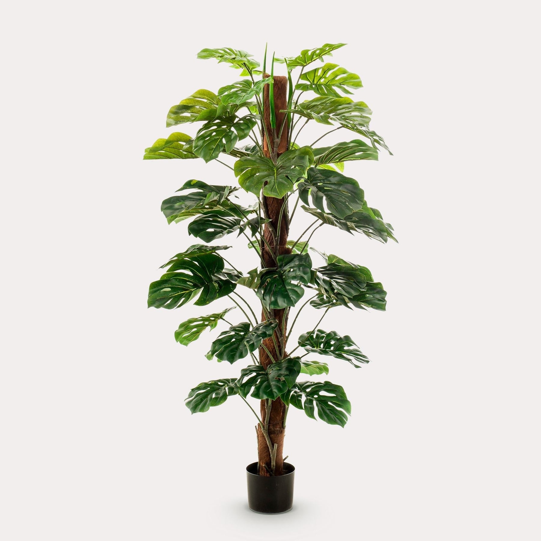 Kunstplant Monstera Deliciosa 150 cm
