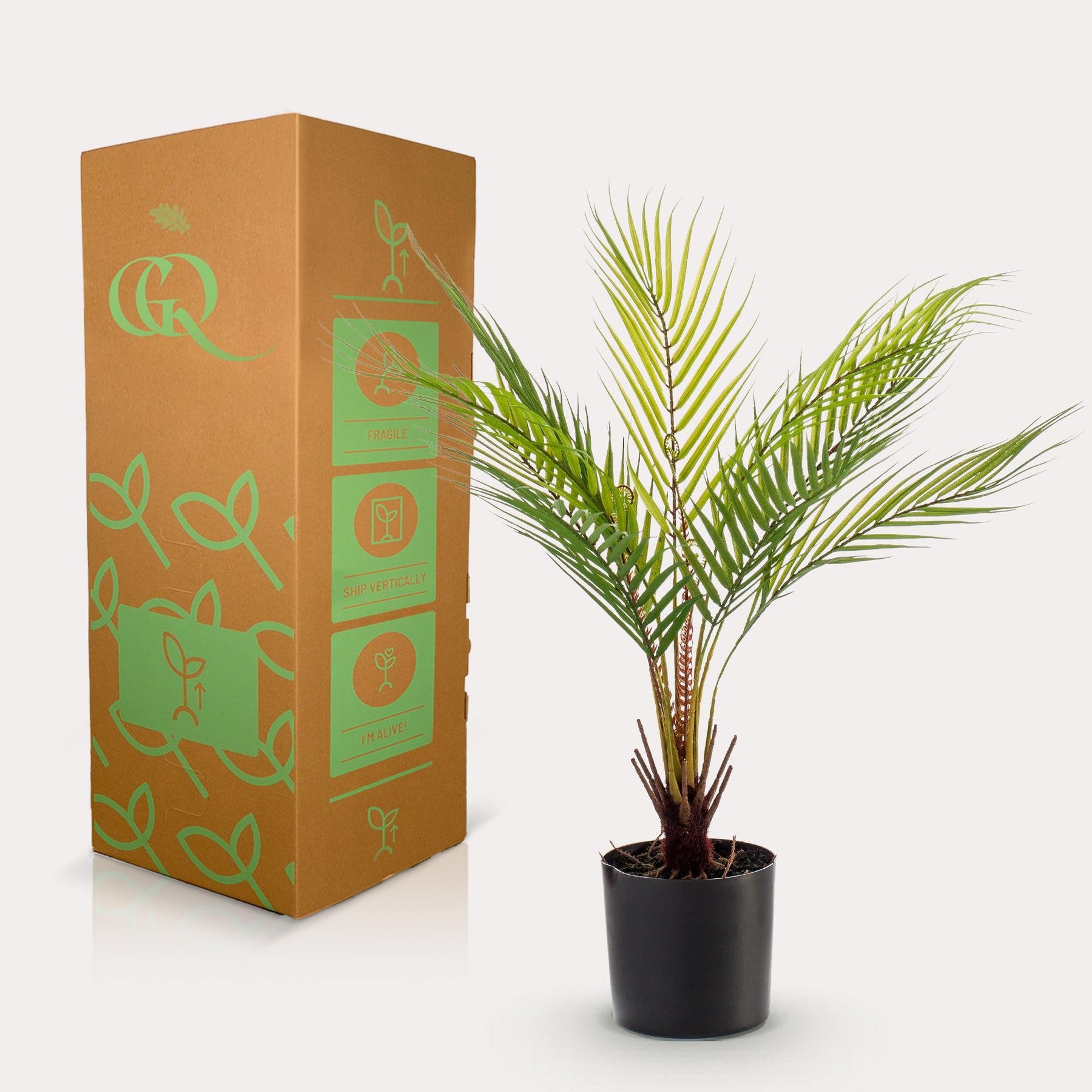 Kunstpalm Chamaedorea 50 cm