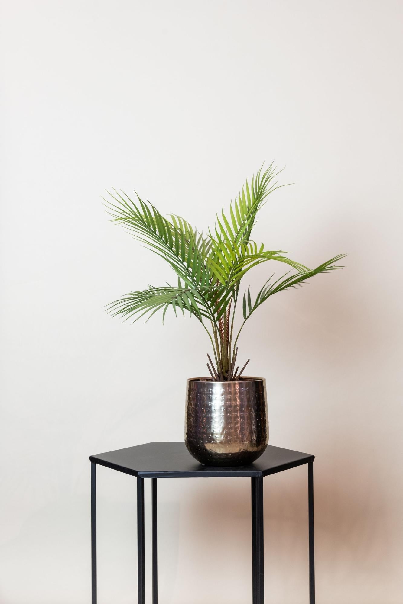 Kunstpalm Chamaedorea 50 cm