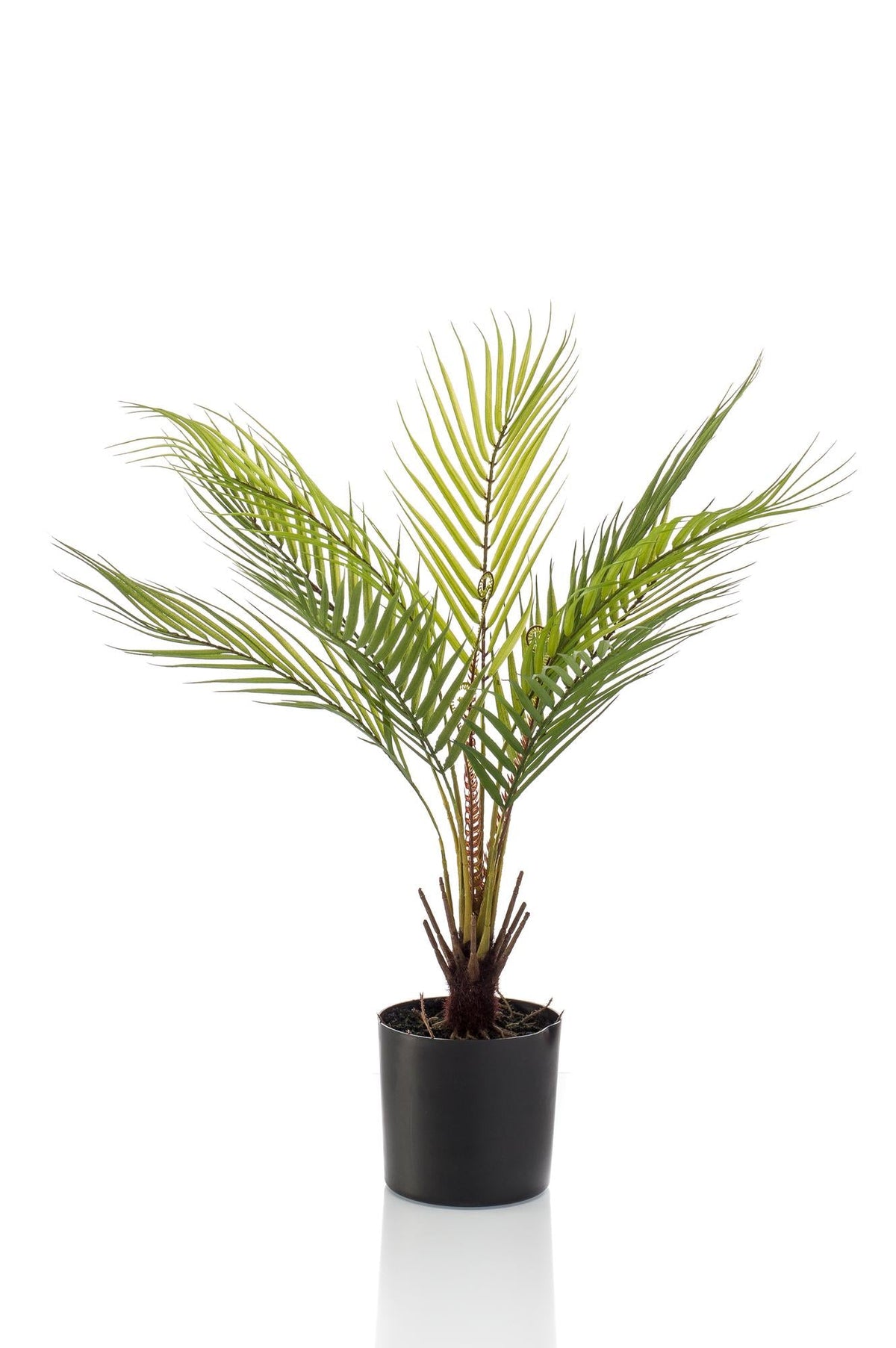 Kunstpalm Chamaedorea 50 cm