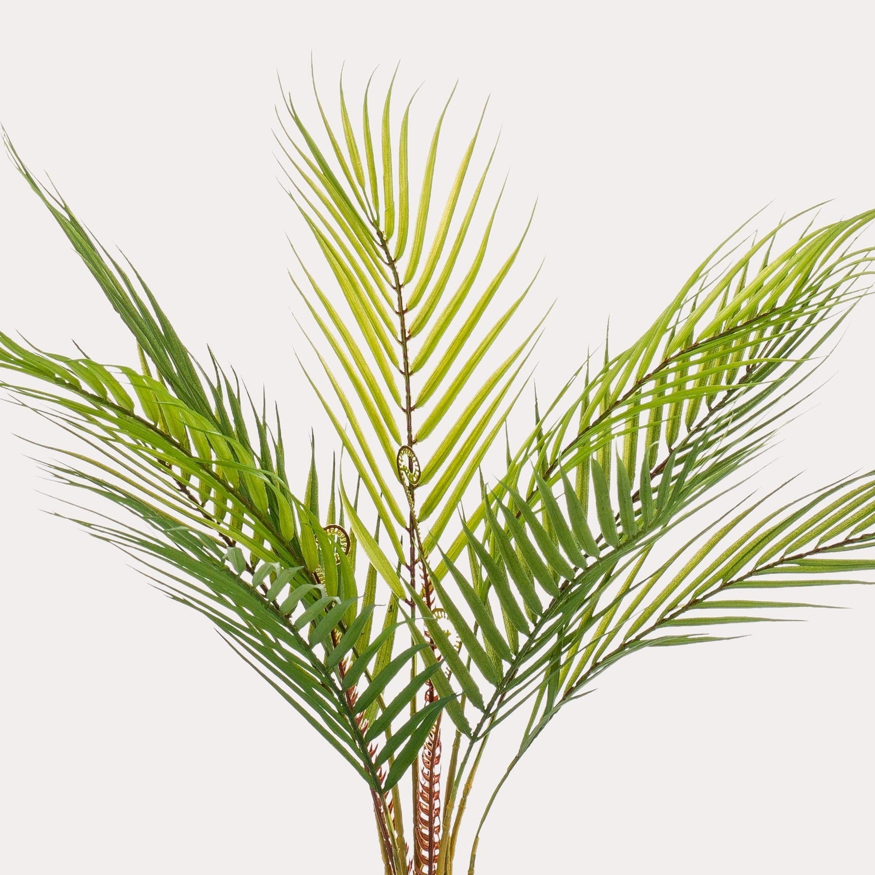 Kunstpalm Chamaedorea 50 cm