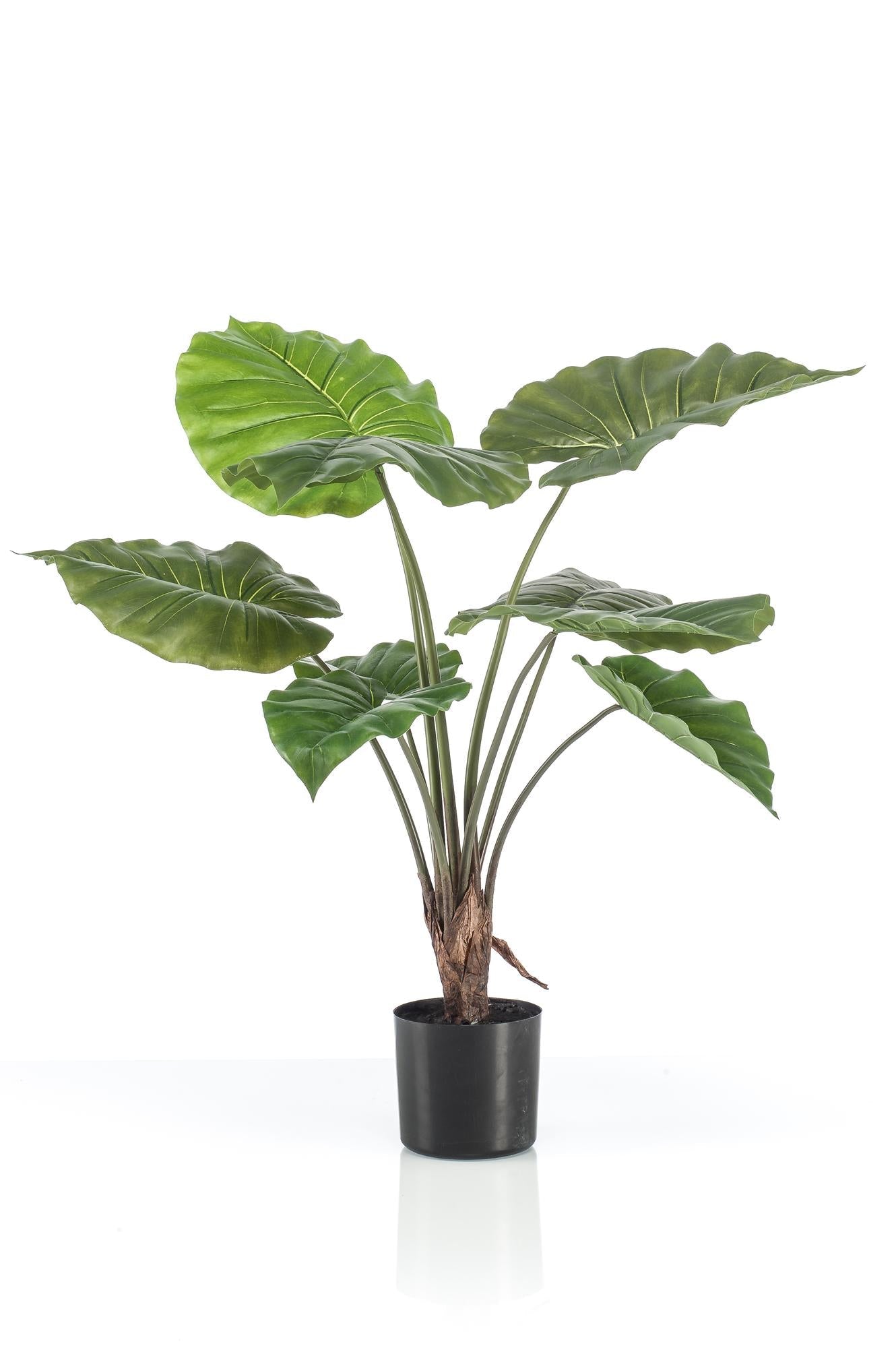 Kunstplant Alocasia 70 cm