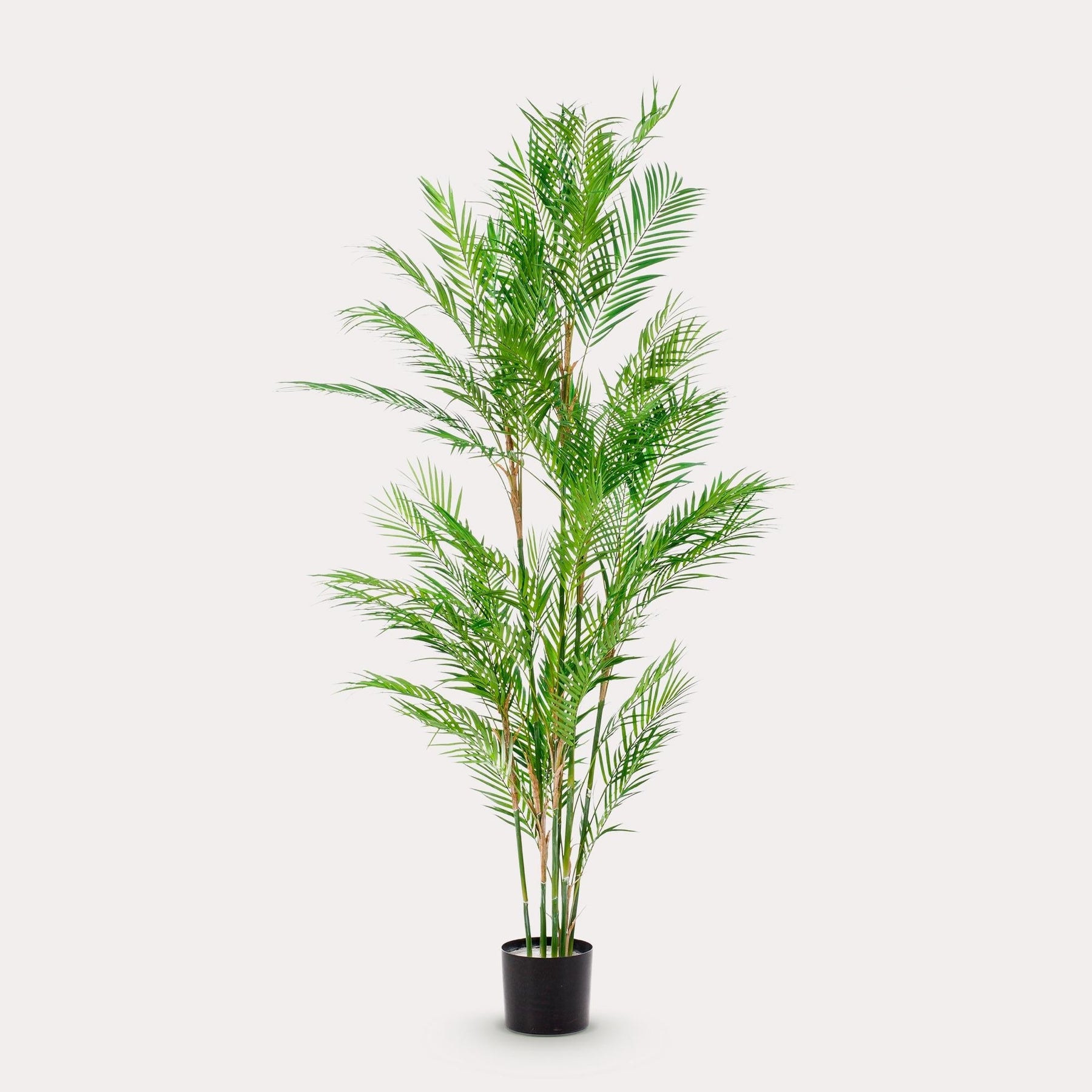 Kunstplant Chamaedorea 180 cm