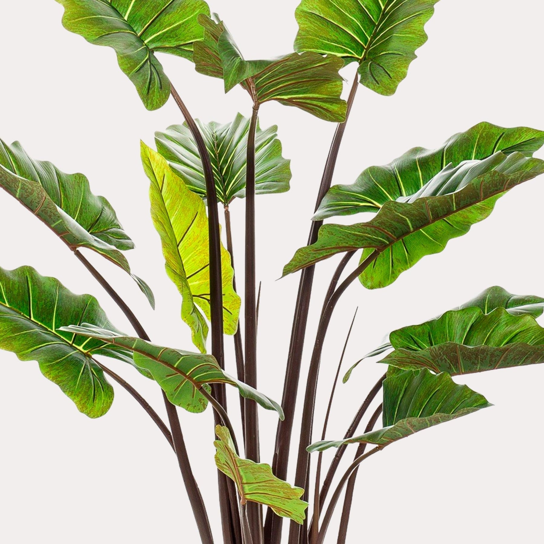 Kunstplant Alocasia 130 cm