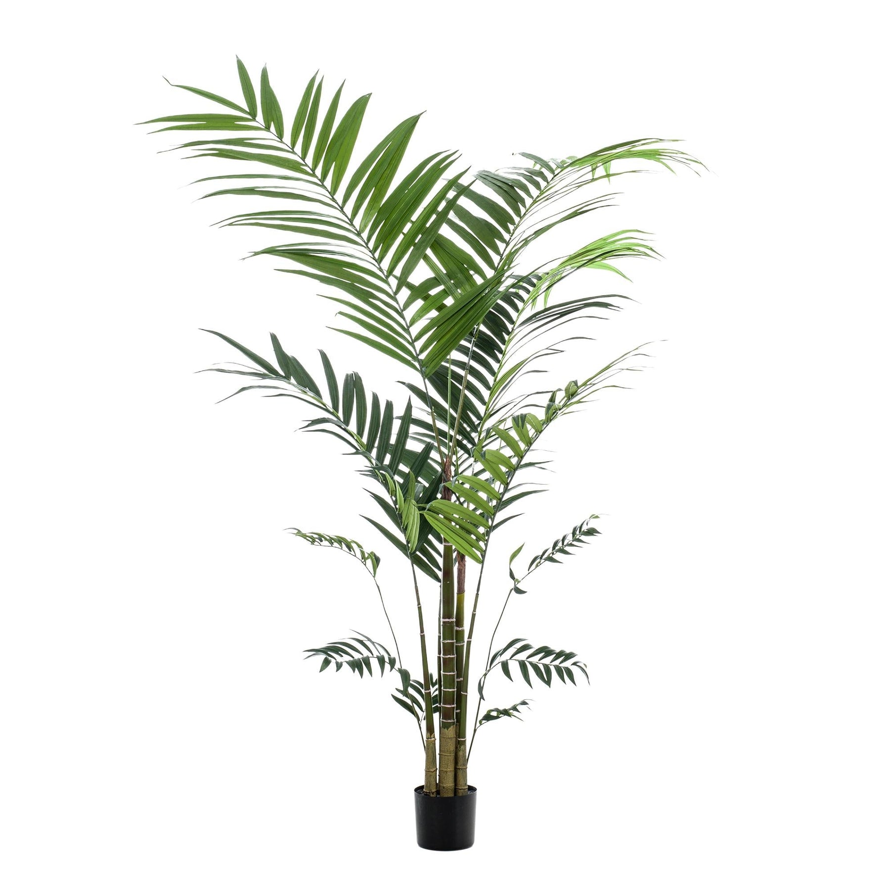 Kunstplant Kentia 210 cm