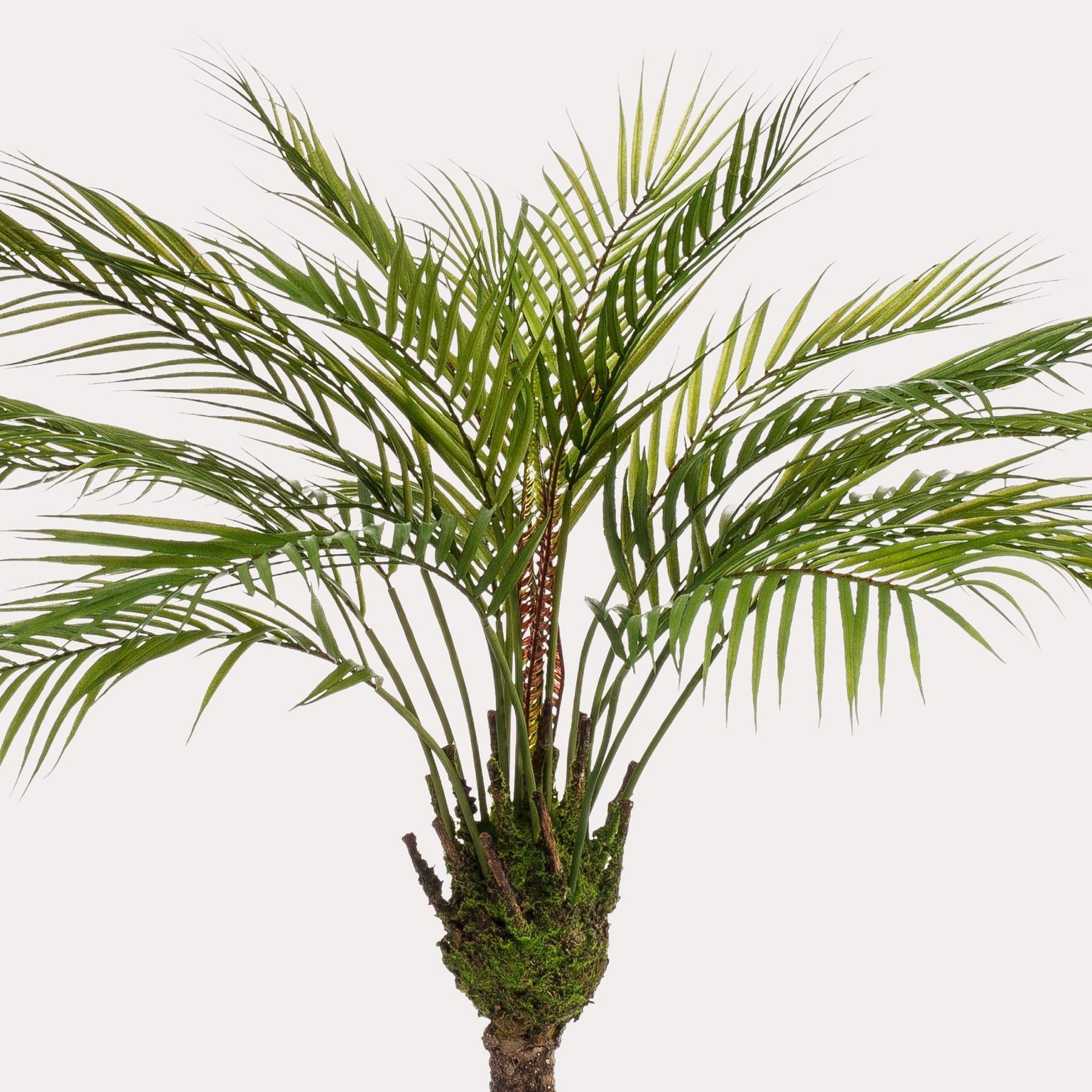 Kunstpalm Chamaedorea 85 cm