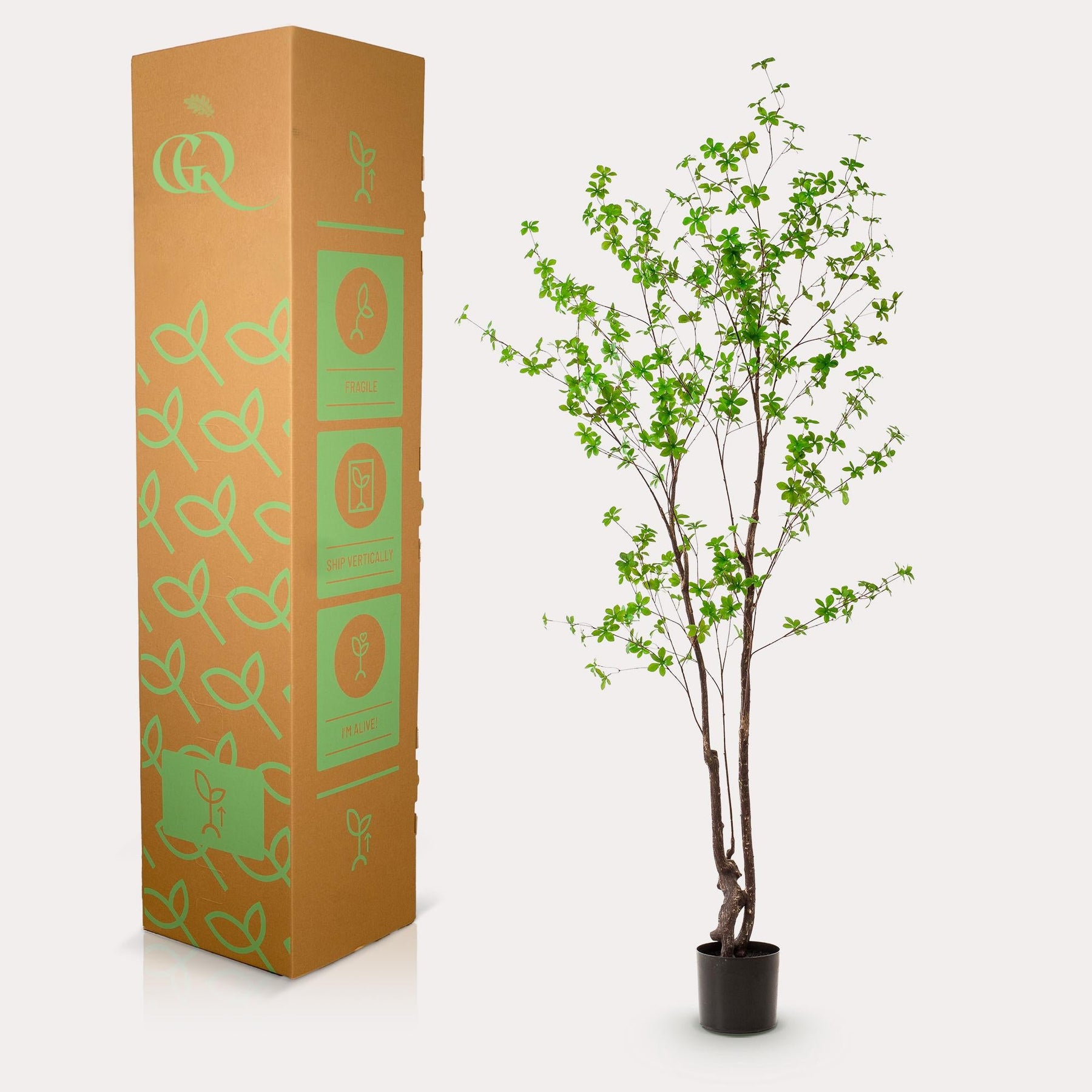Kunstplant Oostindische Kers 210 cm