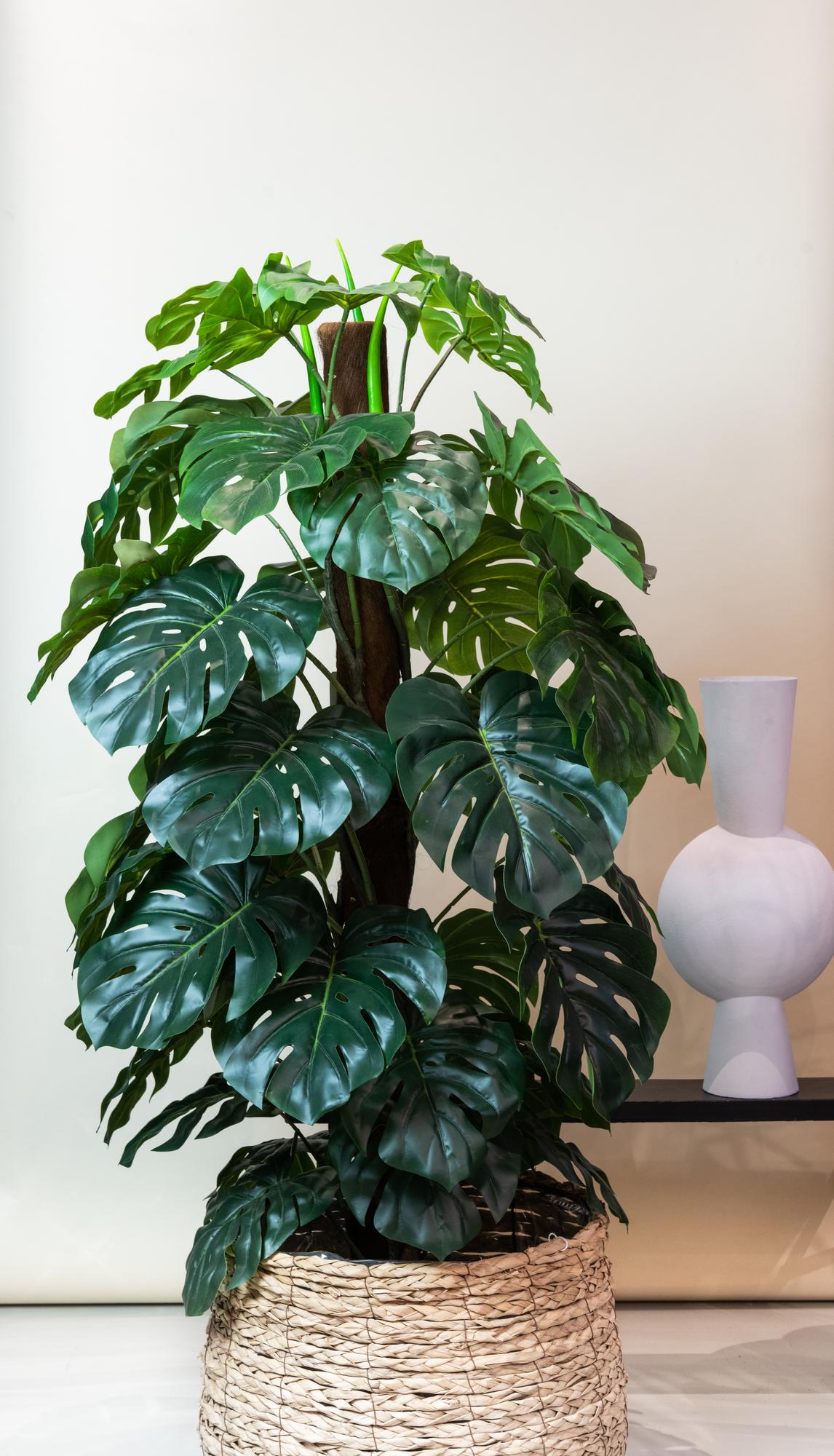 Kunstplant Monstera Deliciosa 150 cm