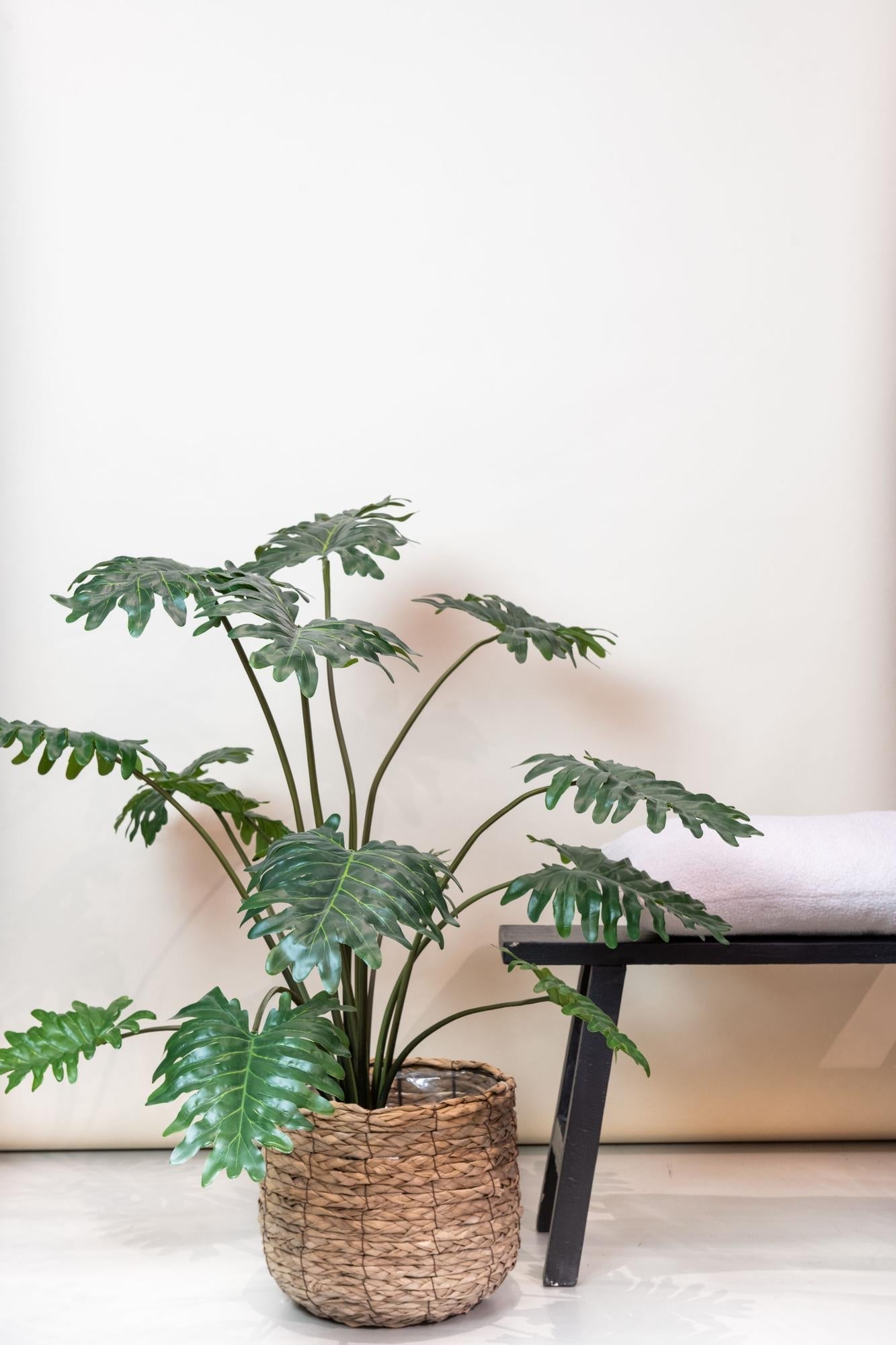 Kunstplant Philodendron 80 cm
